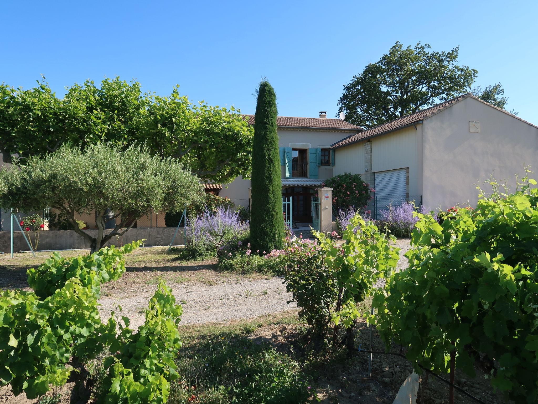 Photo 18 - Maison de 3 chambres à Grillon avec jardin et terrasse