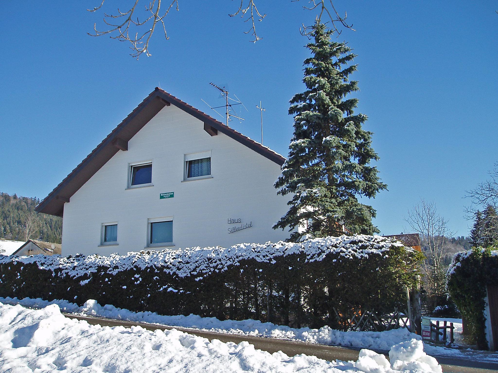 Foto 11 - Apartamento de 3 quartos em Schopfheim com jardim e vista para a montanha