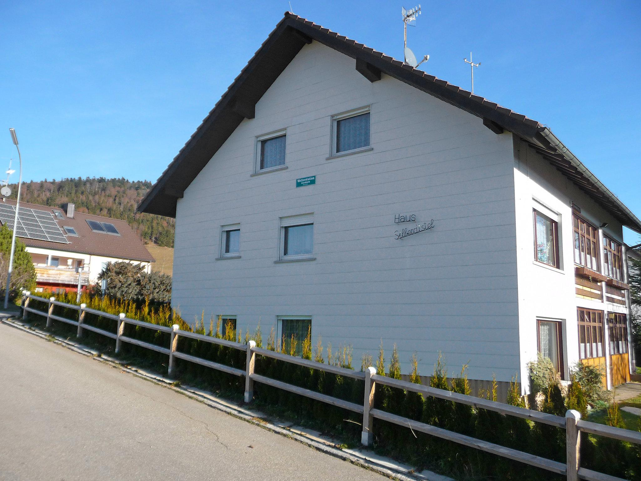 Foto 16 - Apartamento de 3 habitaciones en Schopfheim con jardín y vistas a la montaña