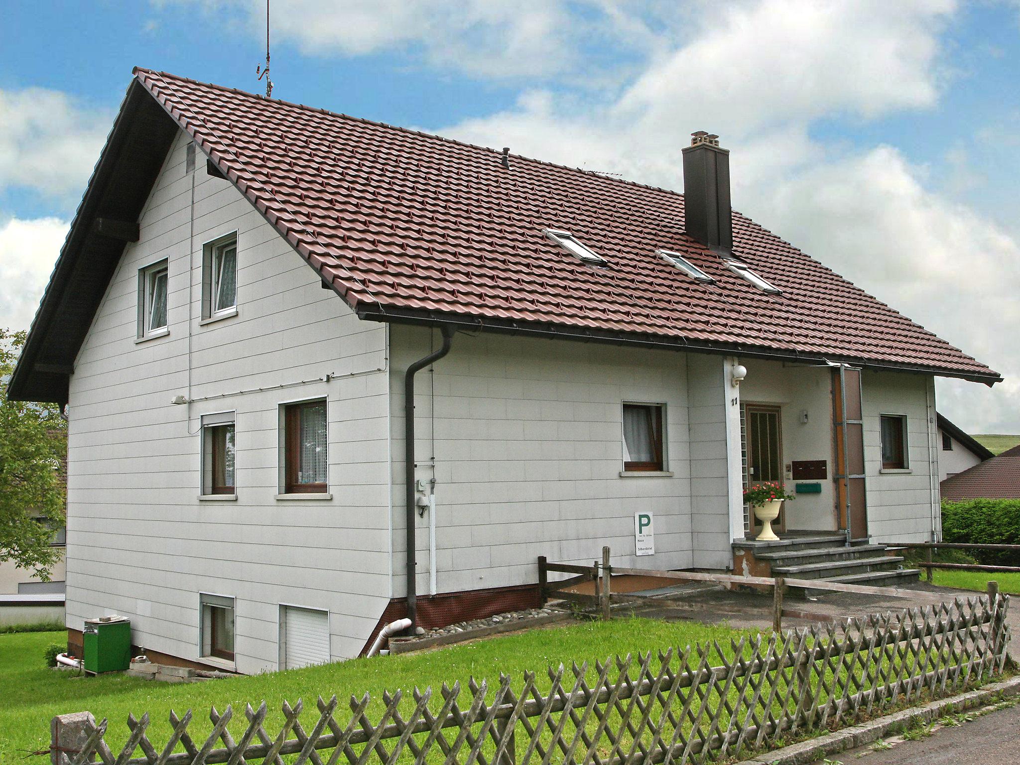 Foto 1 - Apartamento de 3 quartos em Schopfheim com jardim e vista para a montanha