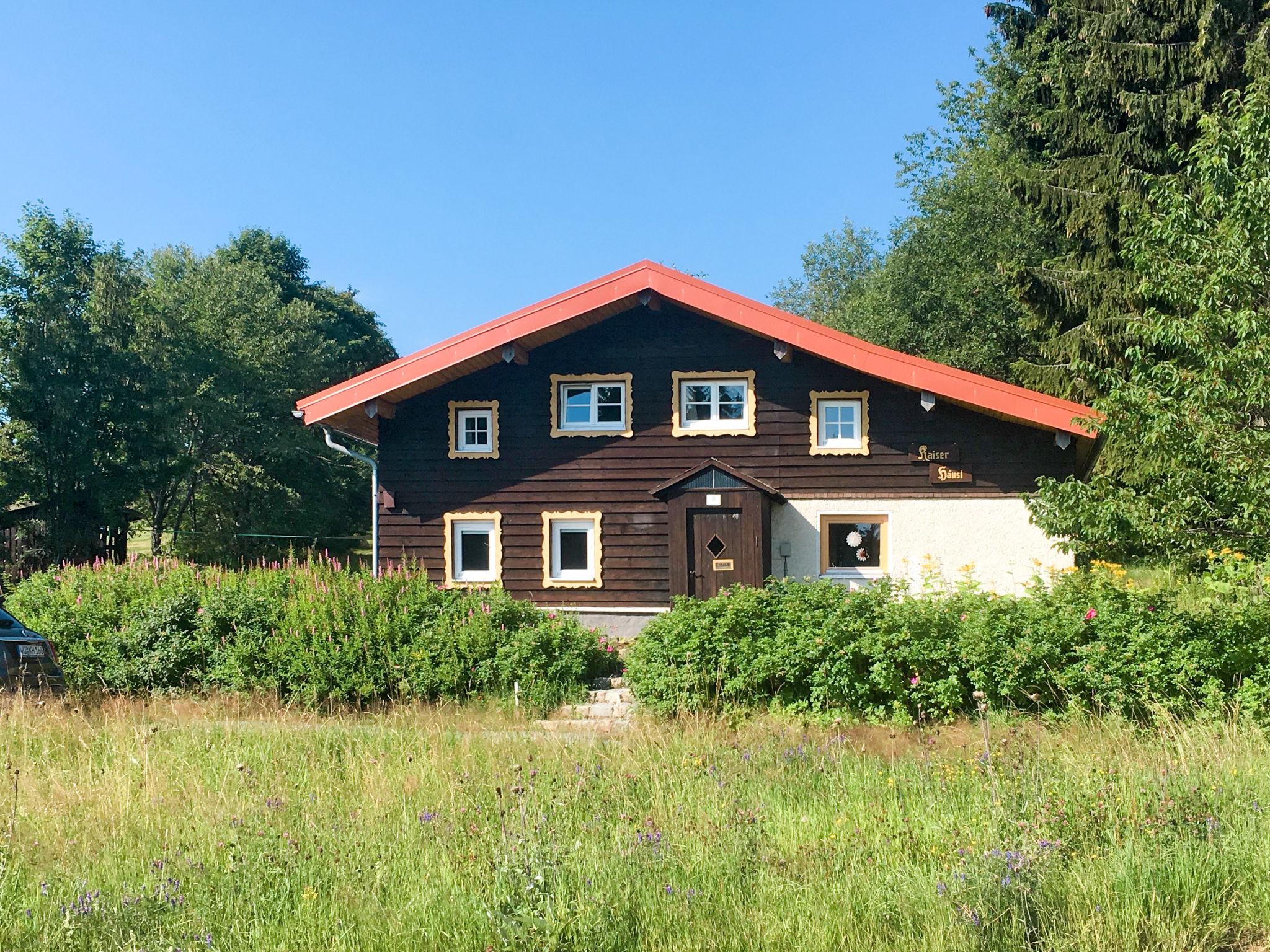 Foto 6 - Haus mit 4 Schlafzimmern in Haidmühle mit garten und blick auf die berge