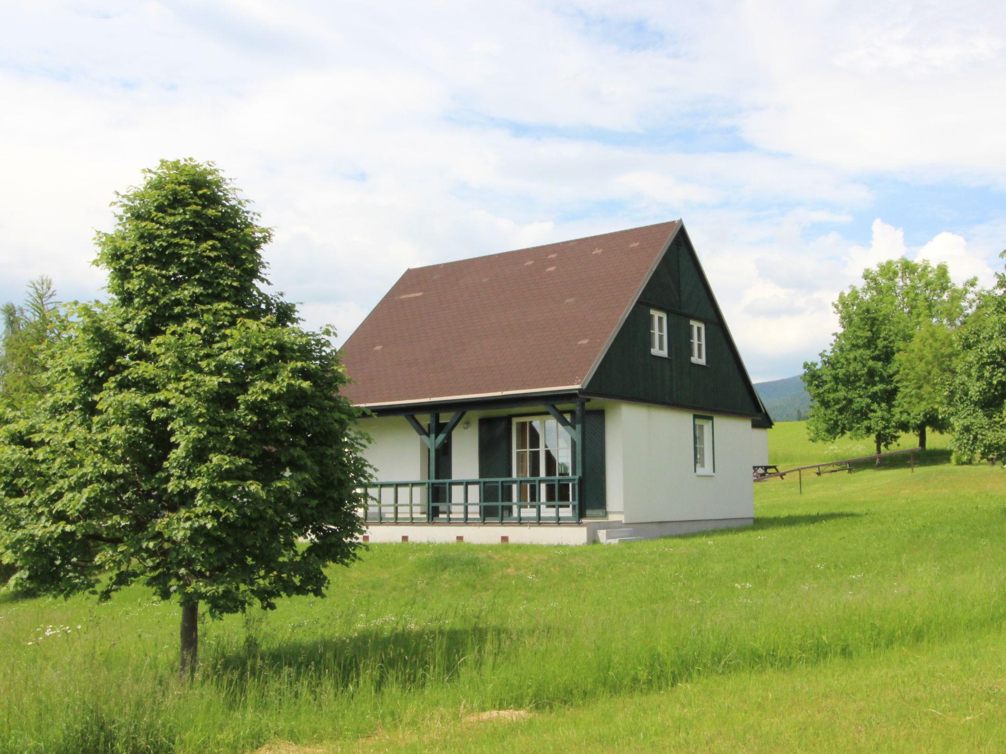 Foto 30 - Casa de 3 habitaciones en Černý Důl con piscina y vistas a la montaña