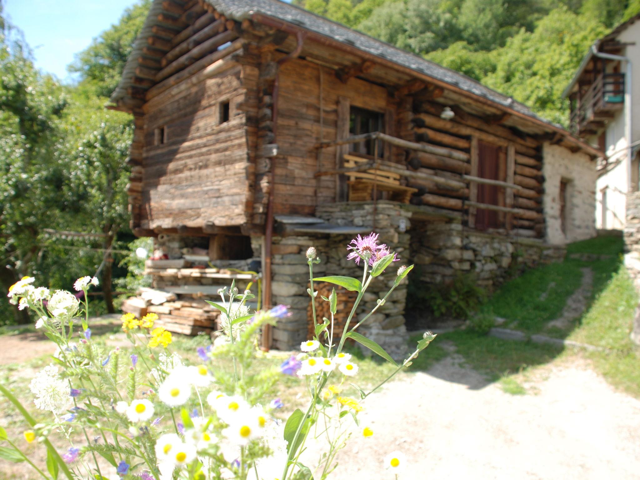 Photo 6 - Maison de 1 chambre à Serravalle avec jardin