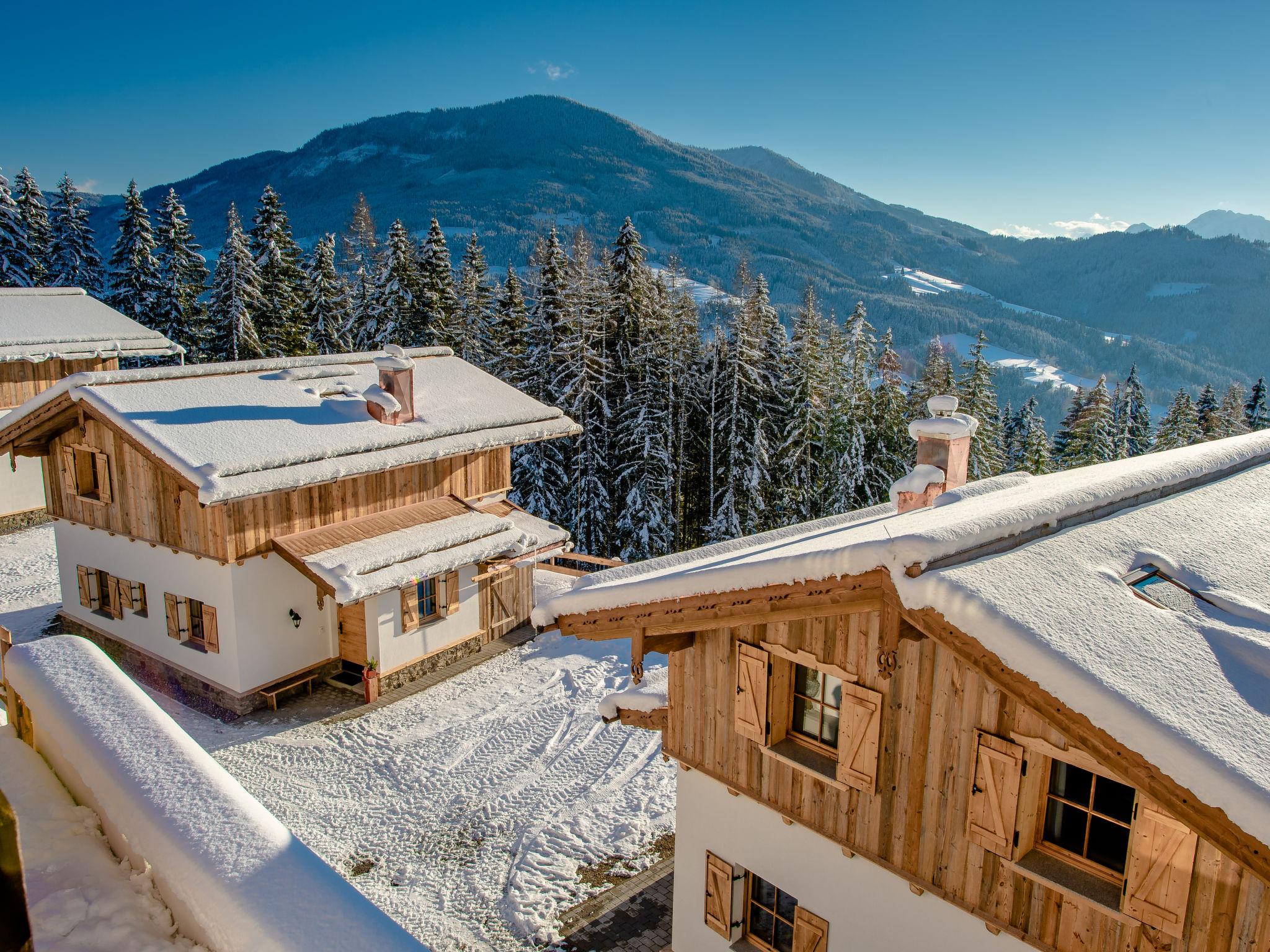 Foto 41 - Casa con 3 camere da letto a Pfarrwerfen con terrazza e vista sulle montagne