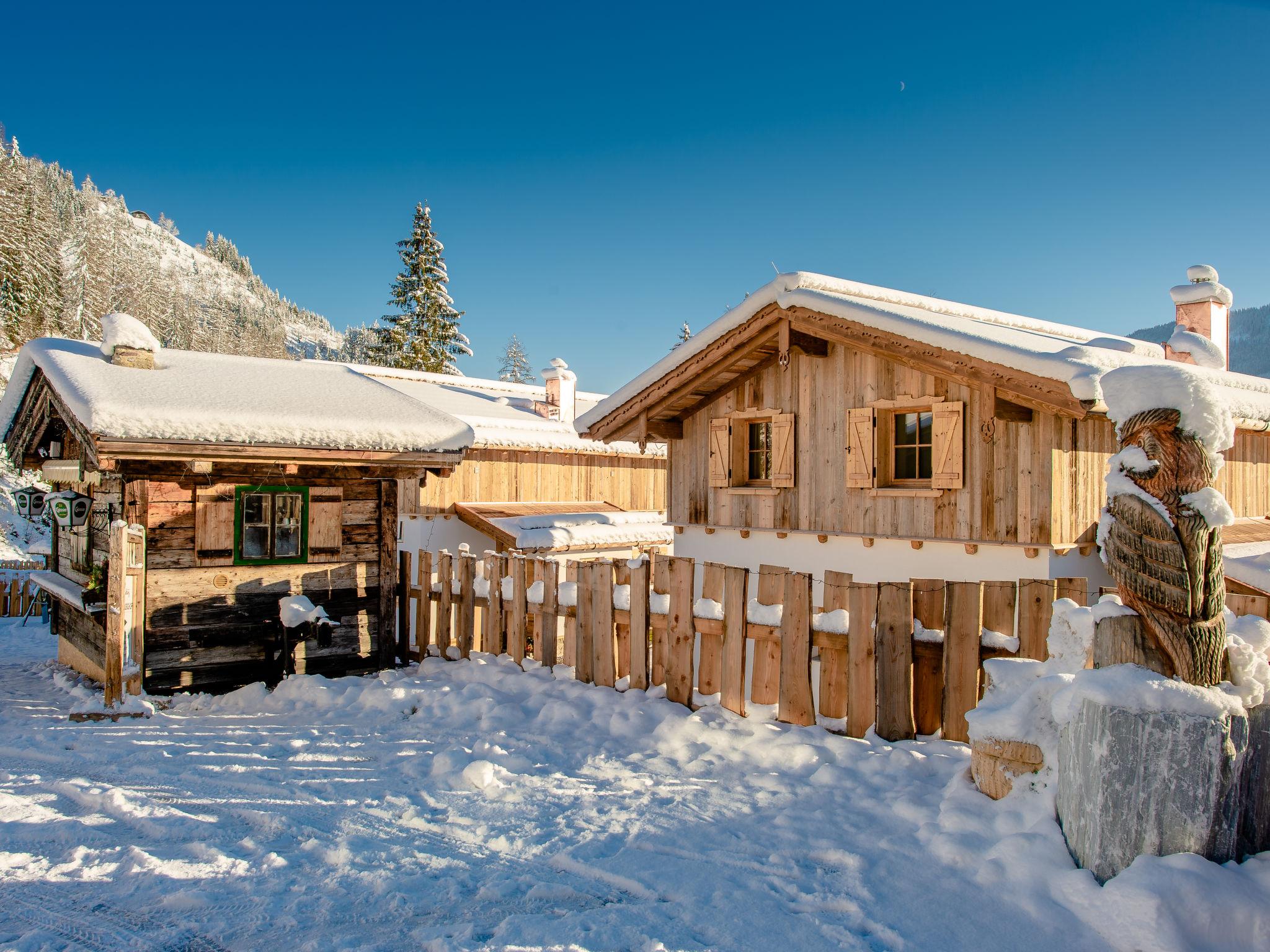 Photo 28 - Maison de 3 chambres à Pfarrwerfen avec terrasse et vues sur la montagne