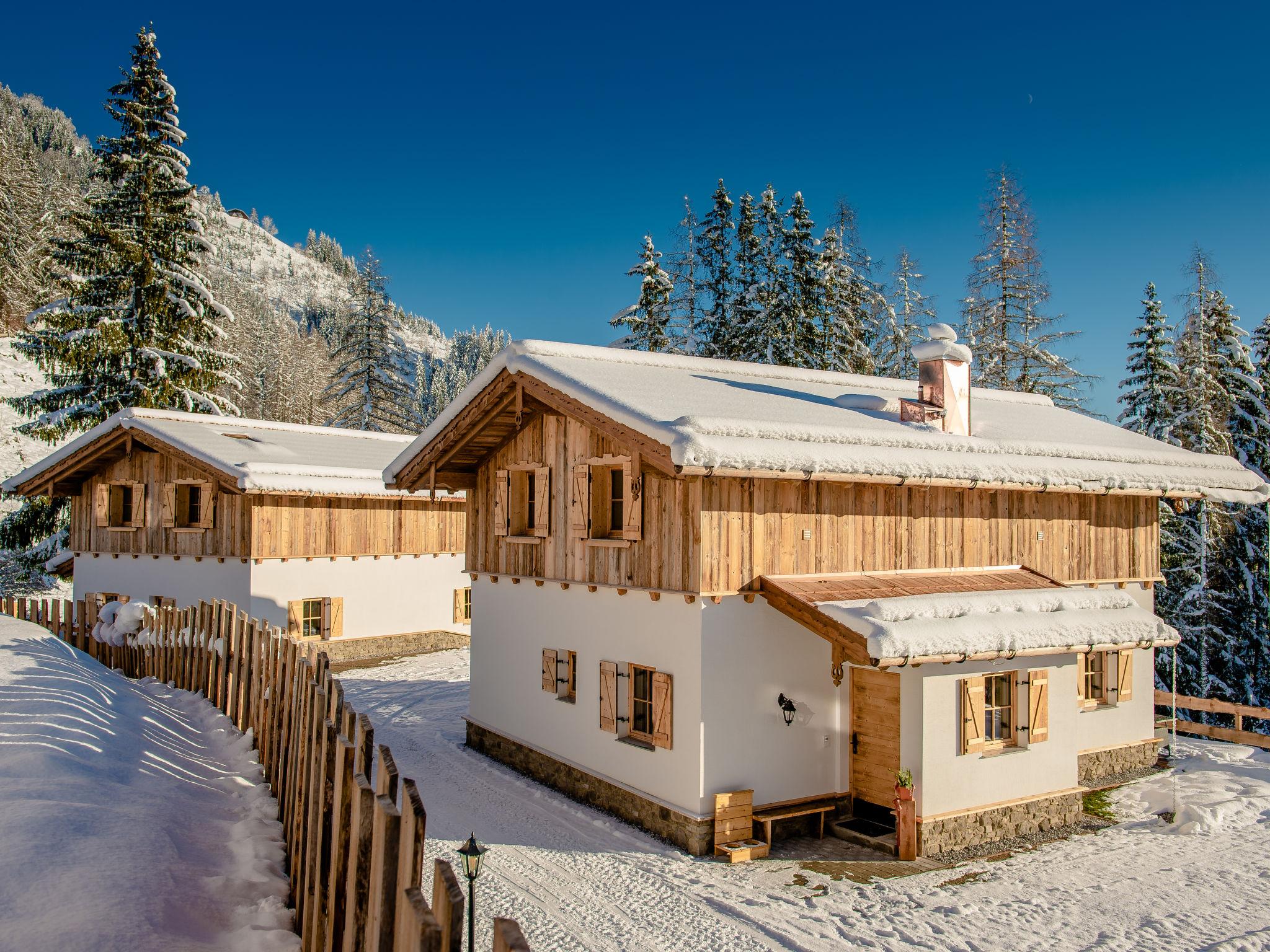 Photo 23 - Maison de 3 chambres à Pfarrwerfen avec terrasse et vues sur la montagne