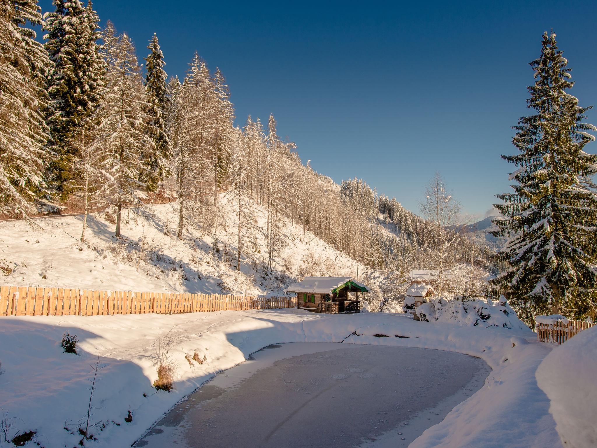 Foto 41 - Haus mit 3 Schlafzimmern in Pfarrwerfen mit terrasse und blick auf die berge