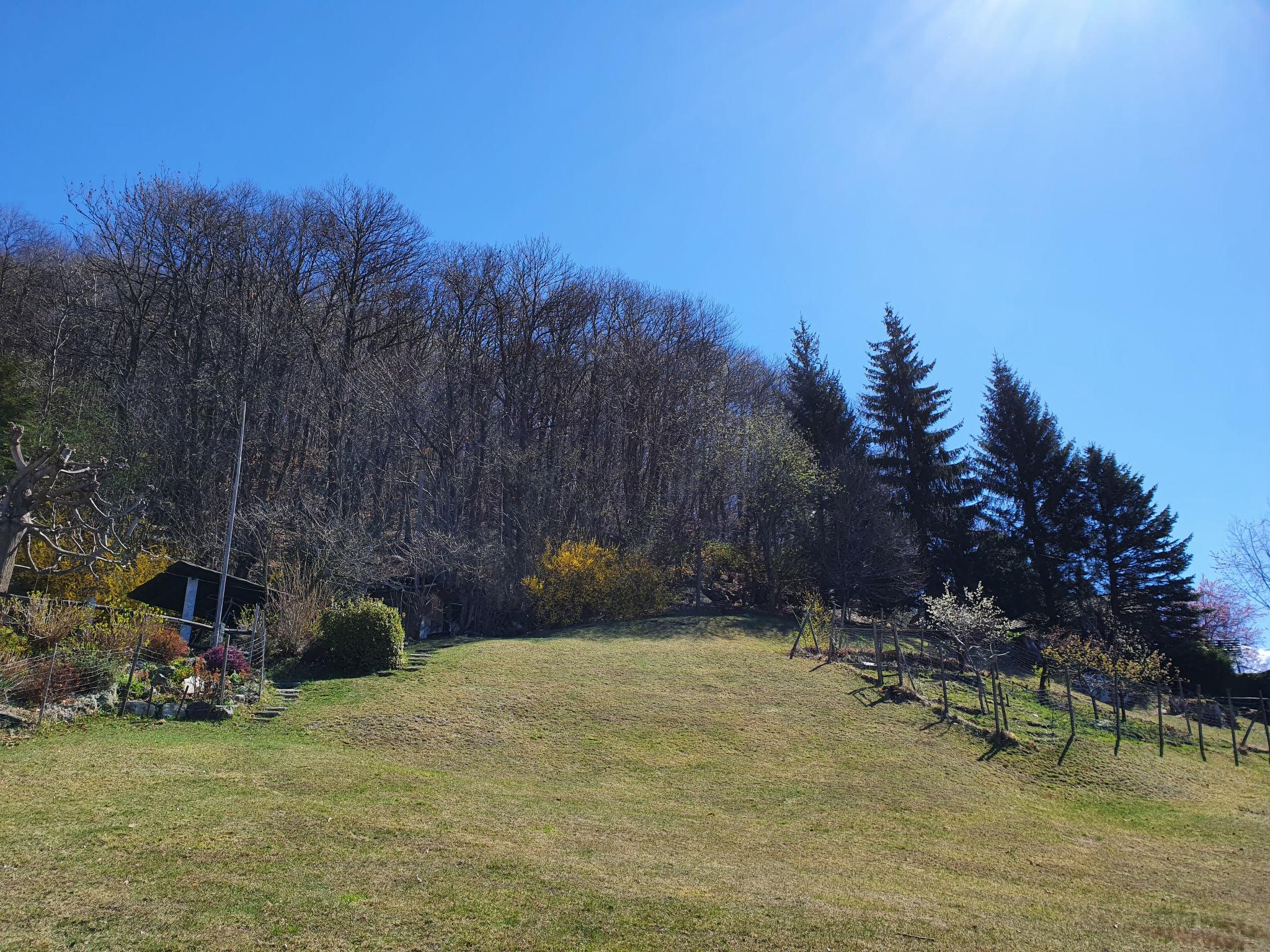 Photo 10 - 1 bedroom House in Bellinzona with garden and mountain view