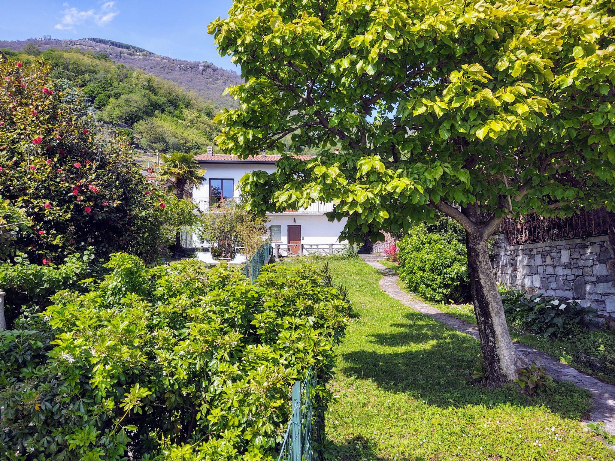 Foto 30 - Apartamento de 2 quartos em Gera Lario com jardim e vista para a montanha