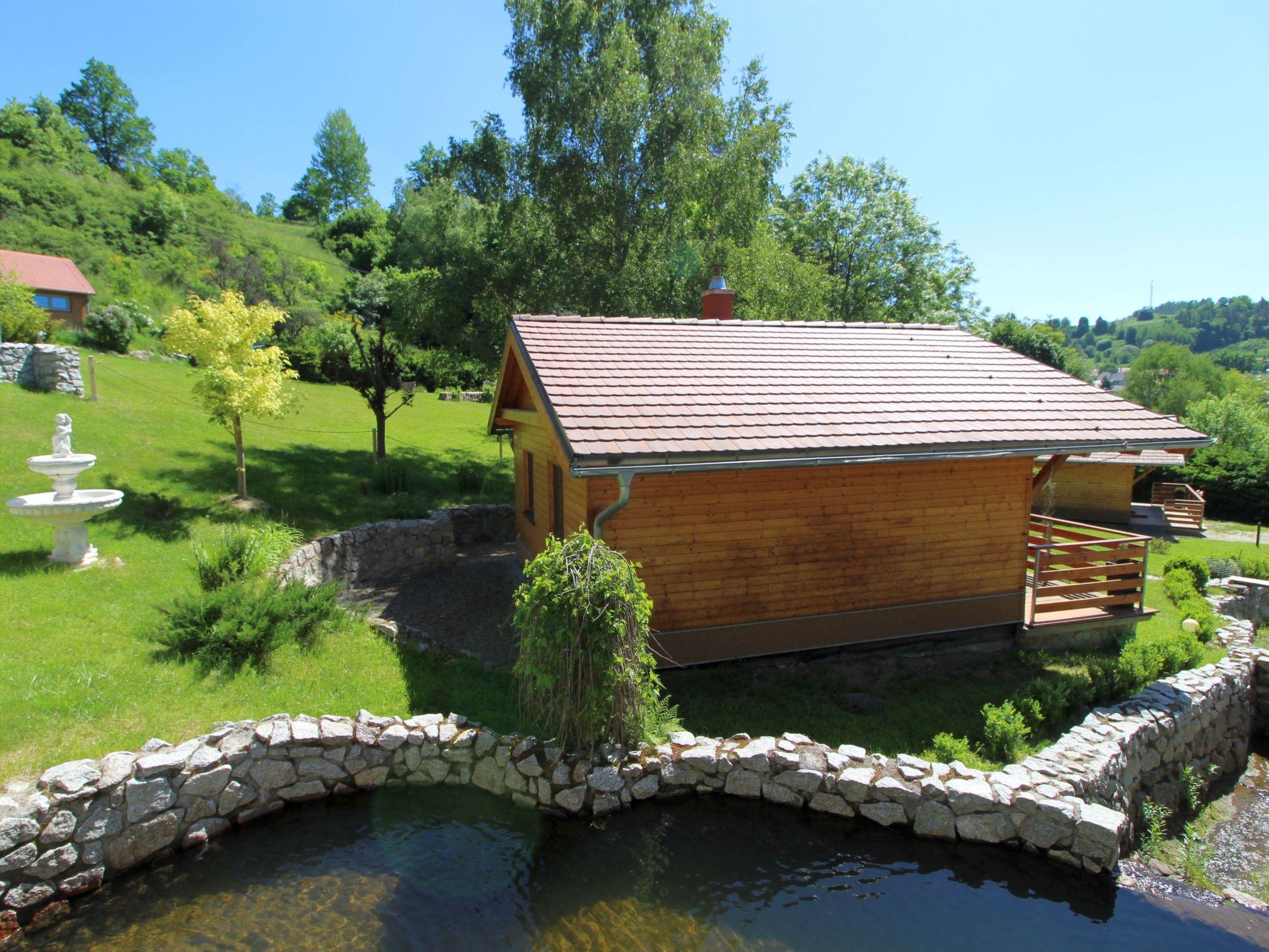 Photo 14 - Maison de 1 chambre à Bečov nad Teplou avec jardin et terrasse