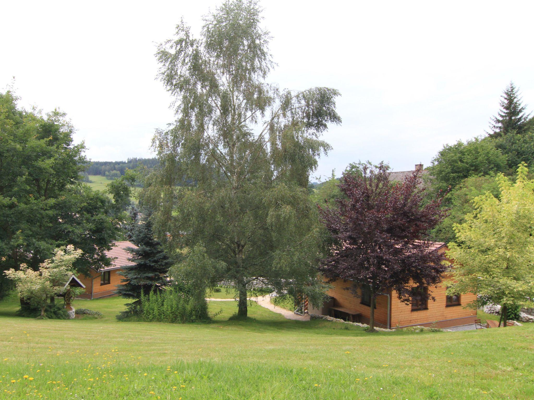 Photo 24 - Maison de 1 chambre à Bečov nad Teplou avec jardin et terrasse