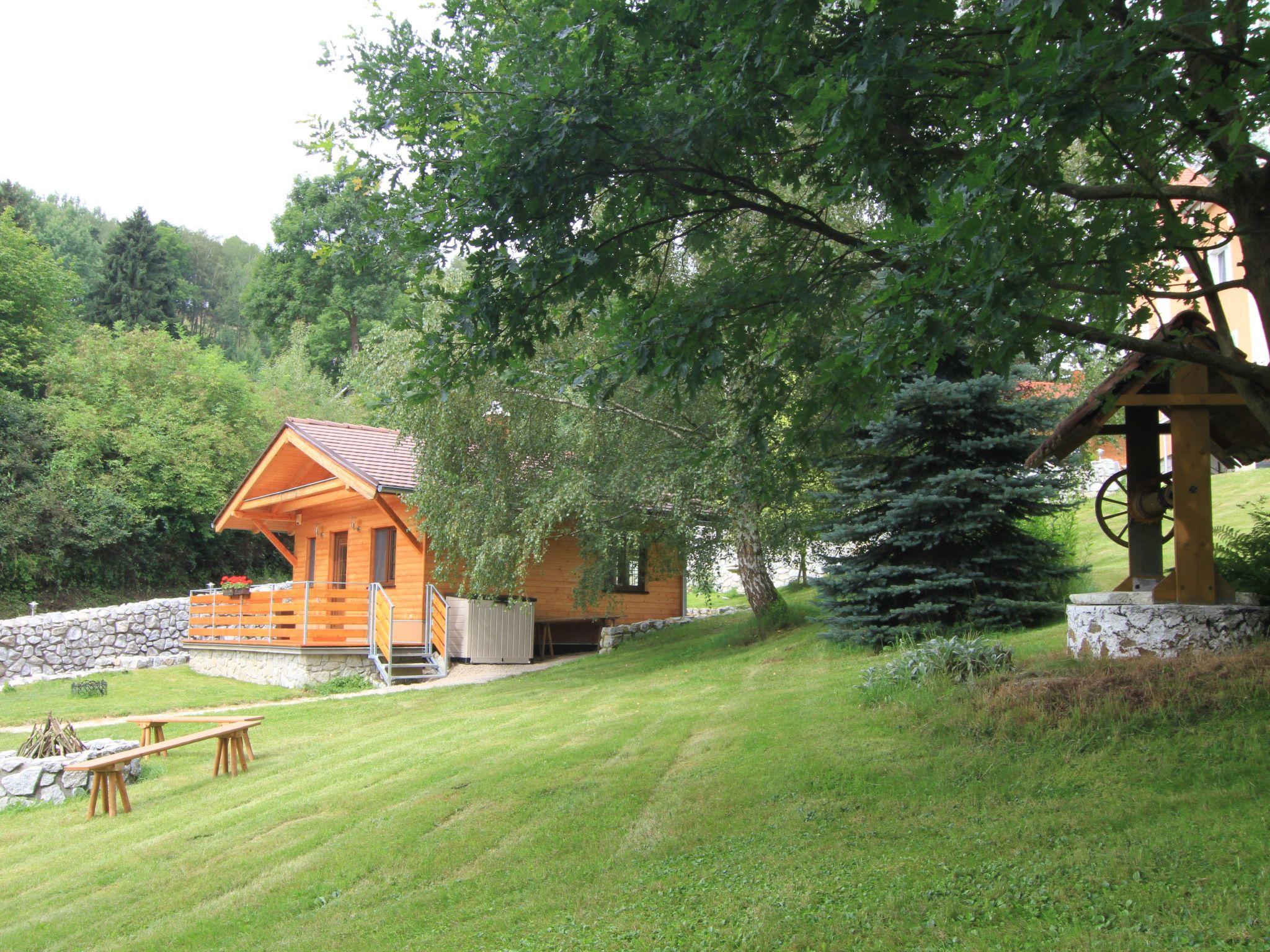 Photo 22 - Maison de 1 chambre à Bečov nad Teplou avec jardin et terrasse