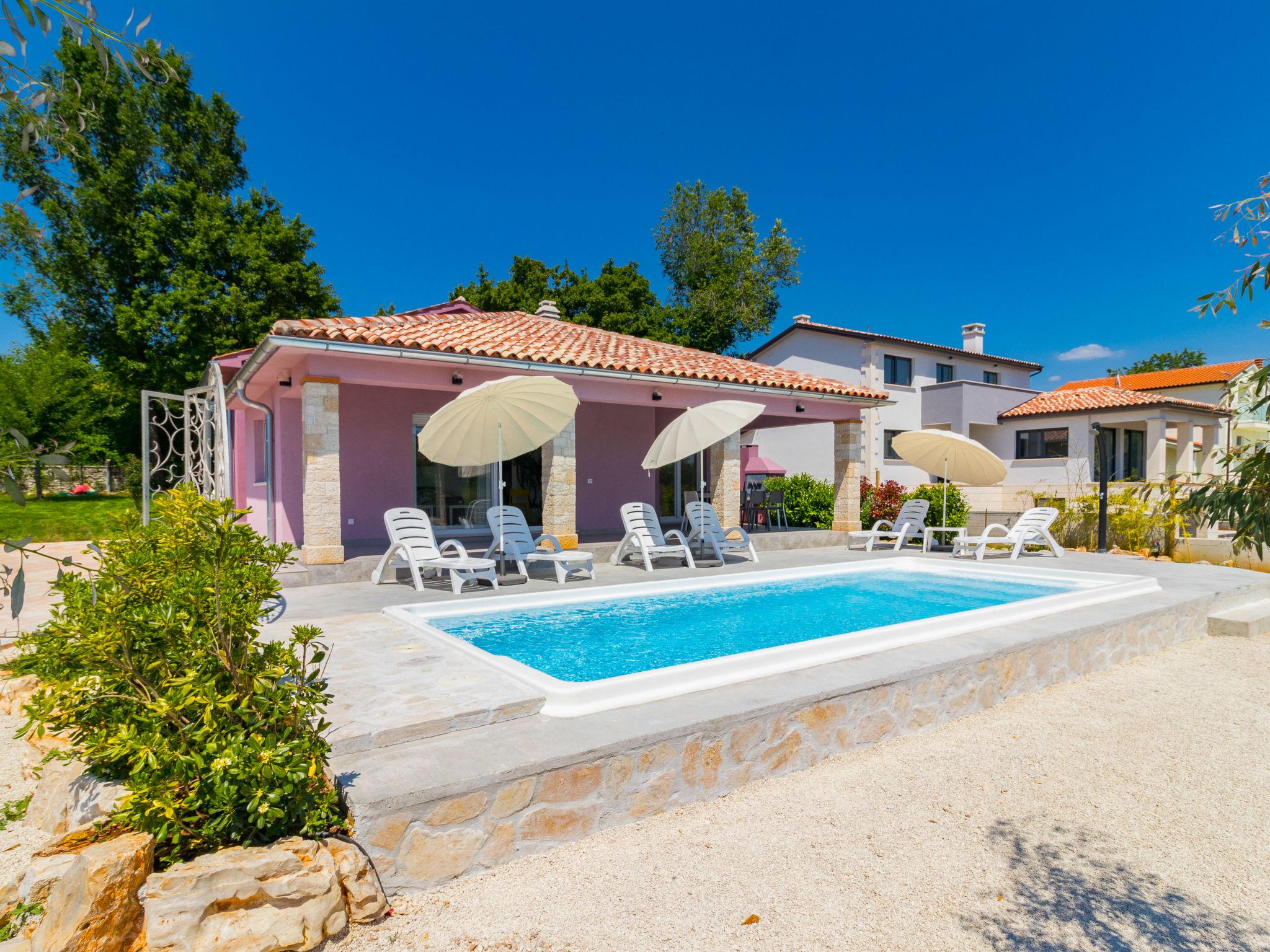 Photo 1 - Maison de 3 chambres à Svetvinčenat avec piscine privée et jardin