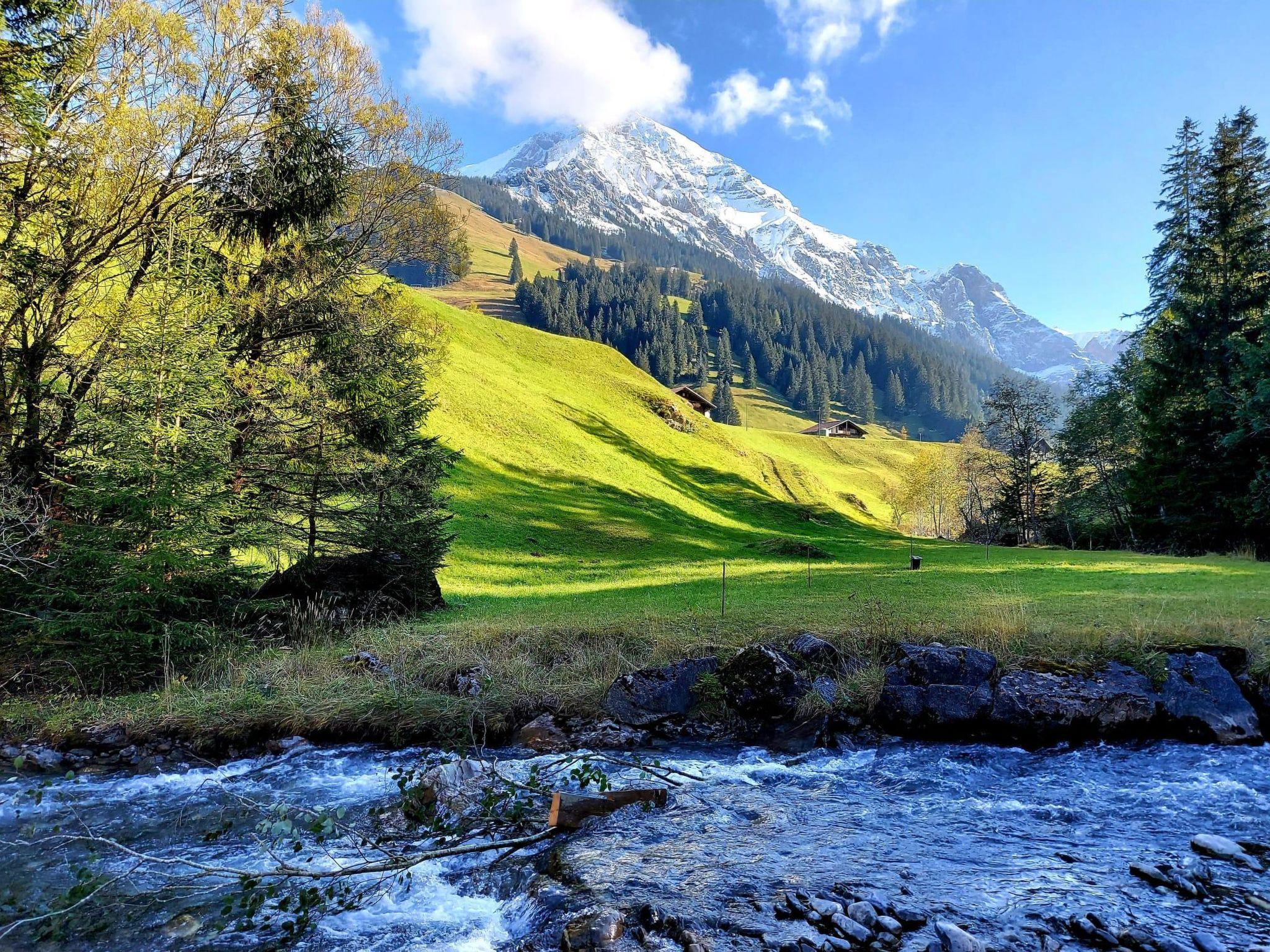 Foto 19 - Appartamento con 1 camera da letto a Adelboden