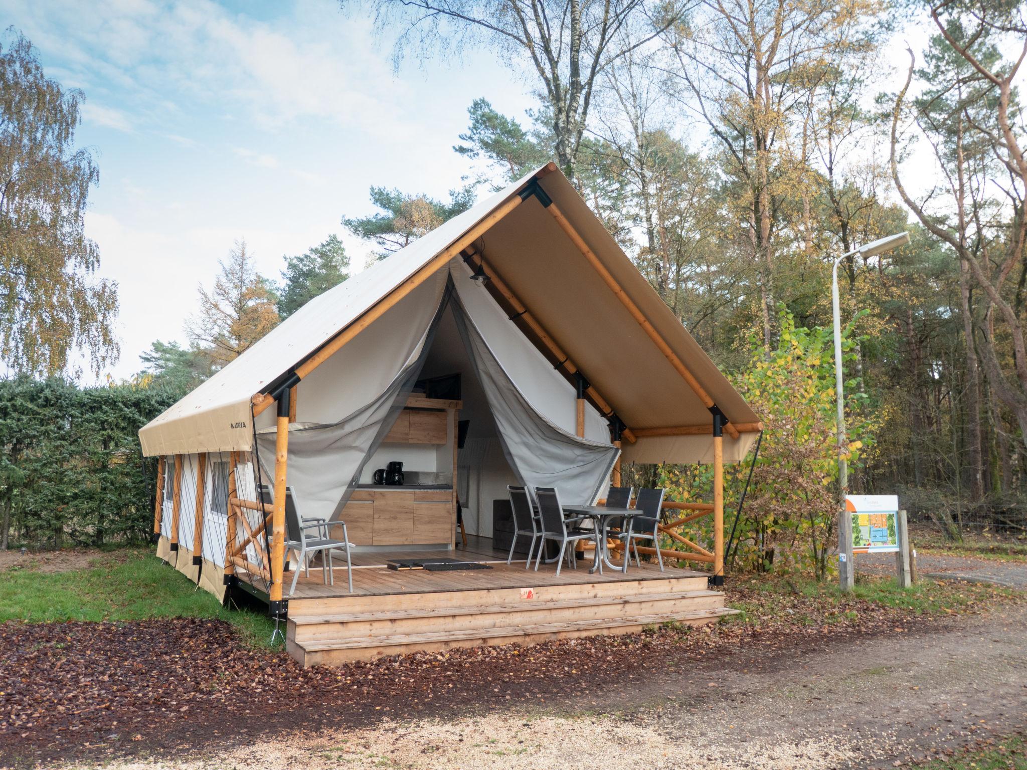 Foto 1 - Haus mit 2 Schlafzimmern in Otterlo mit schwimmbad und terrasse