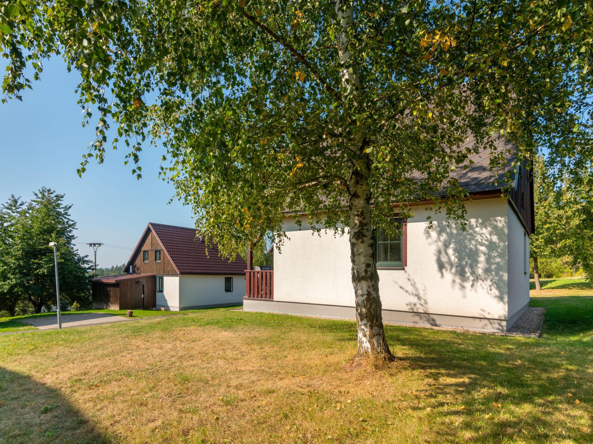 Foto 19 - Casa con 3 camere da letto a Černý Důl con piscina e giardino