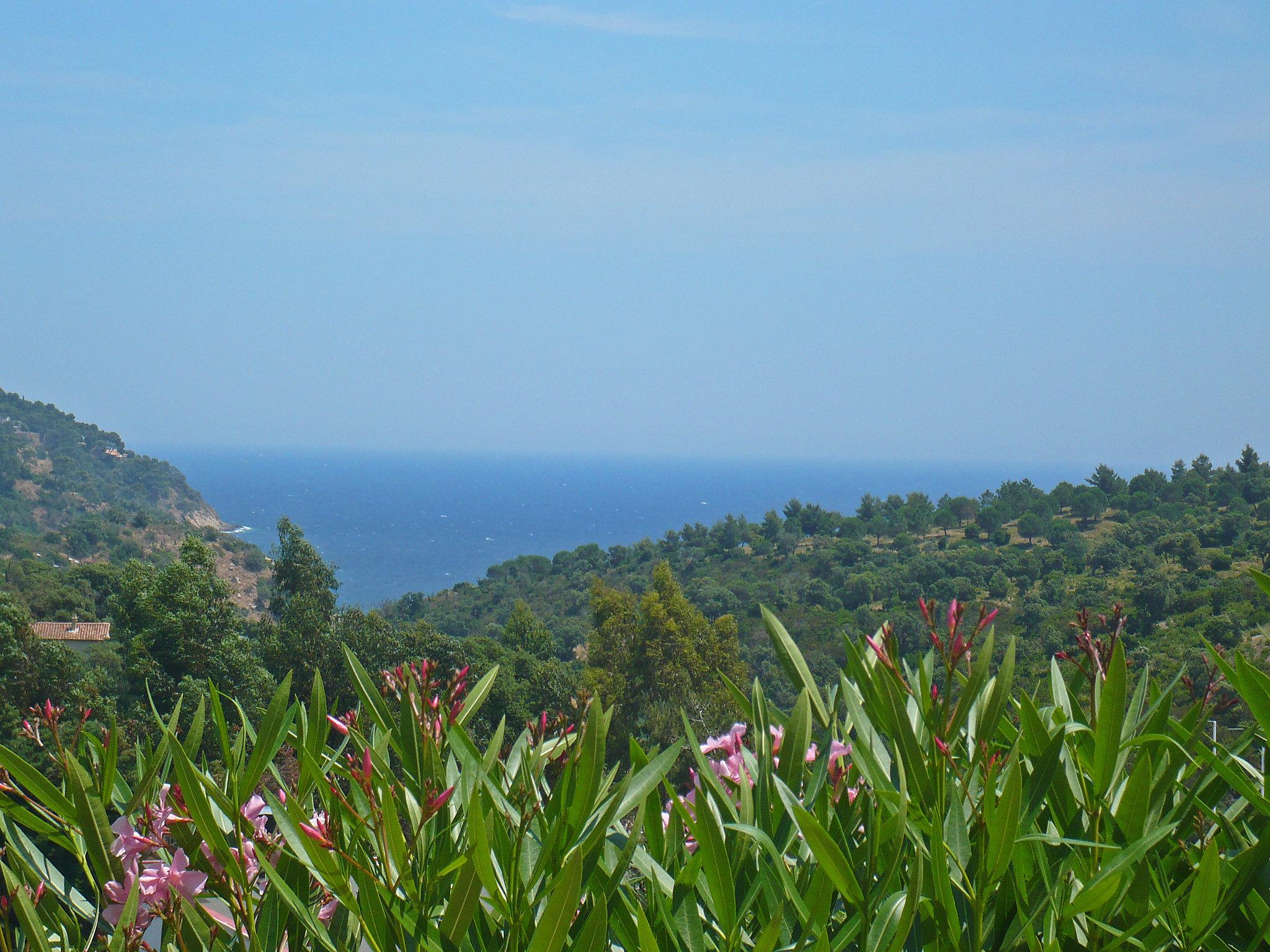 Photo 19 - 2 bedroom Apartment in Cavalaire-sur-Mer with terrace and sea view