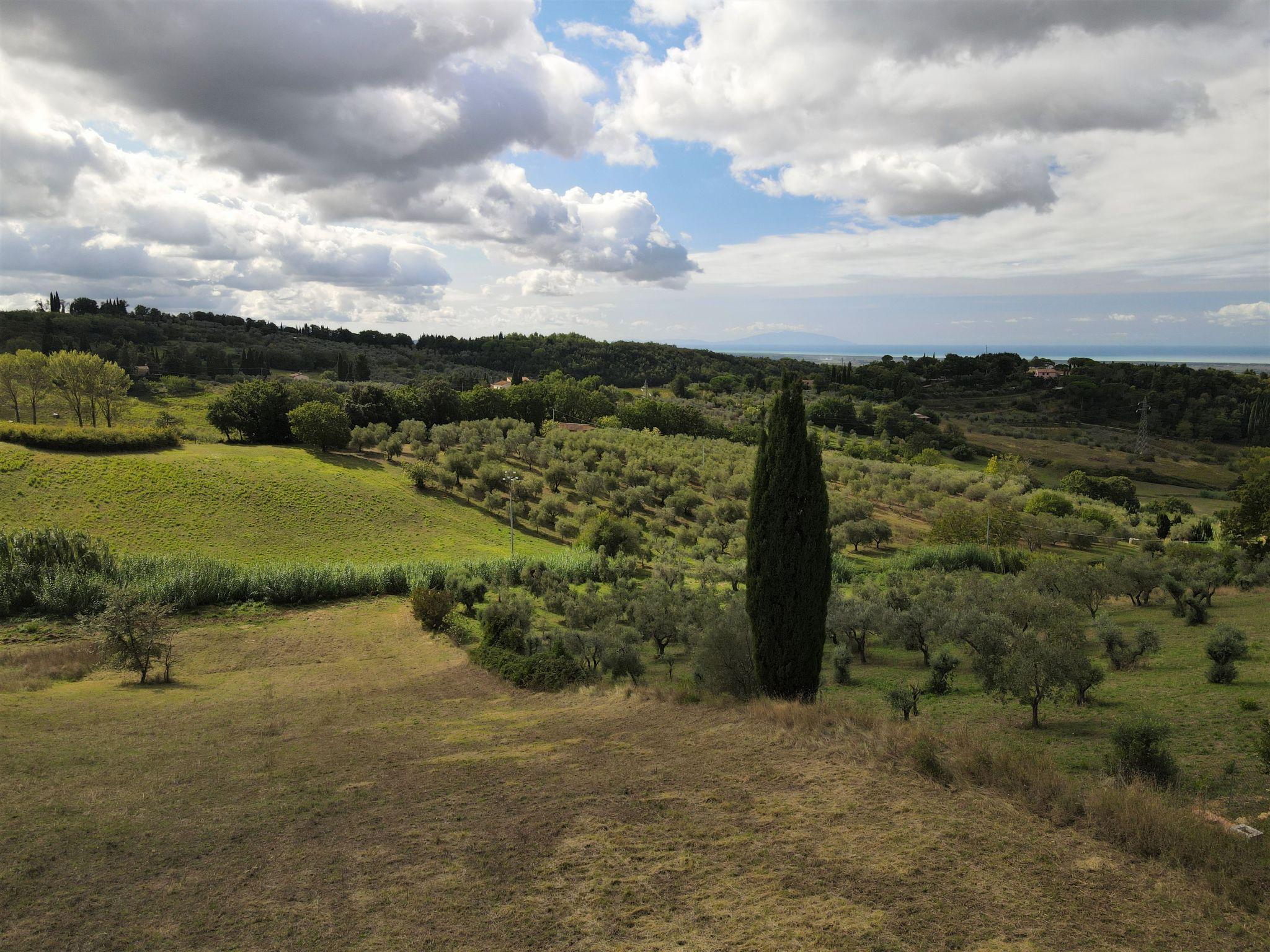 Photo 25 - 4 bedroom House in Guardistallo with garden and sea view