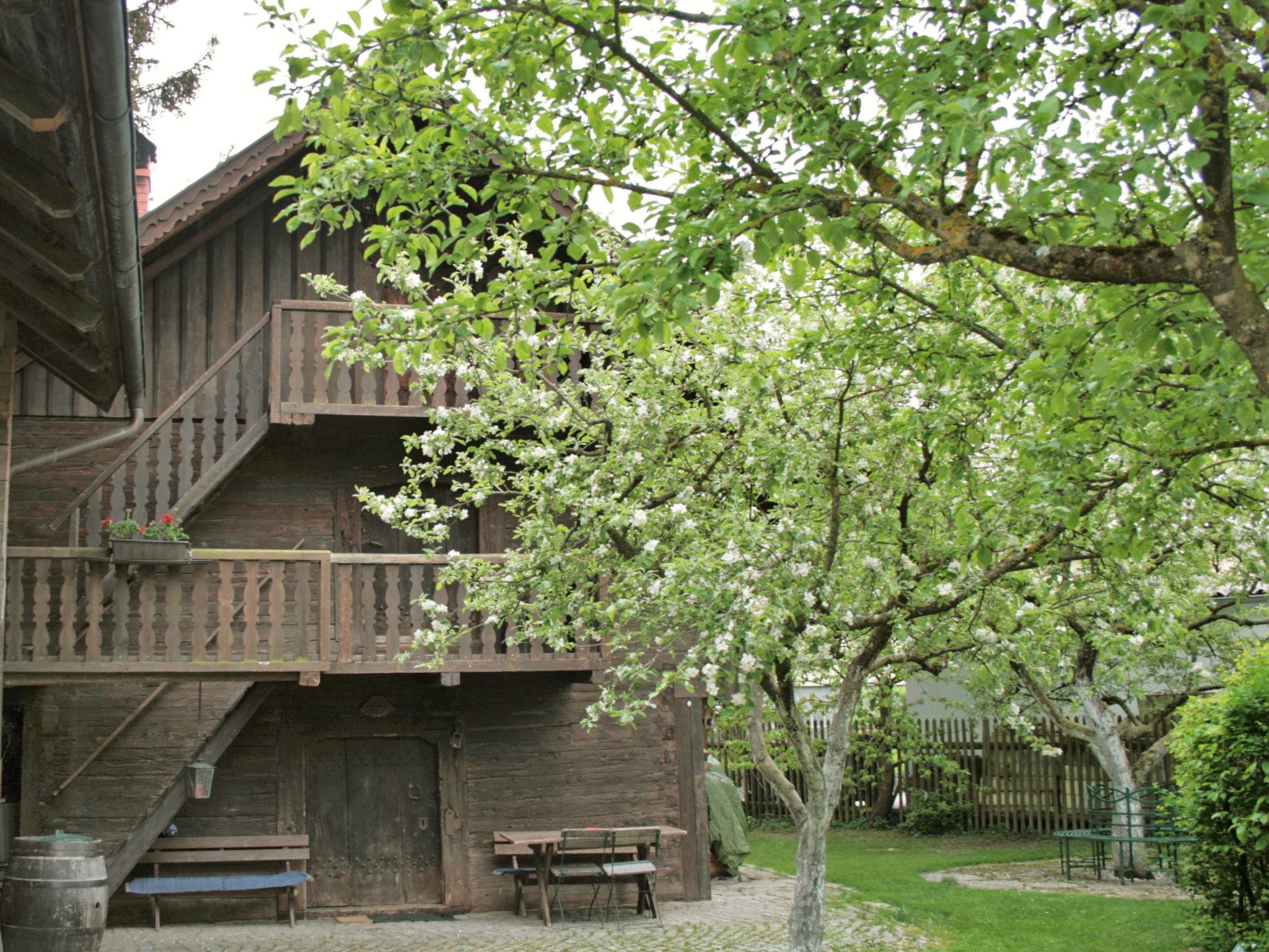 Photo 17 - Maison de 3 chambres à Neuhofen im Innkreis avec jardin