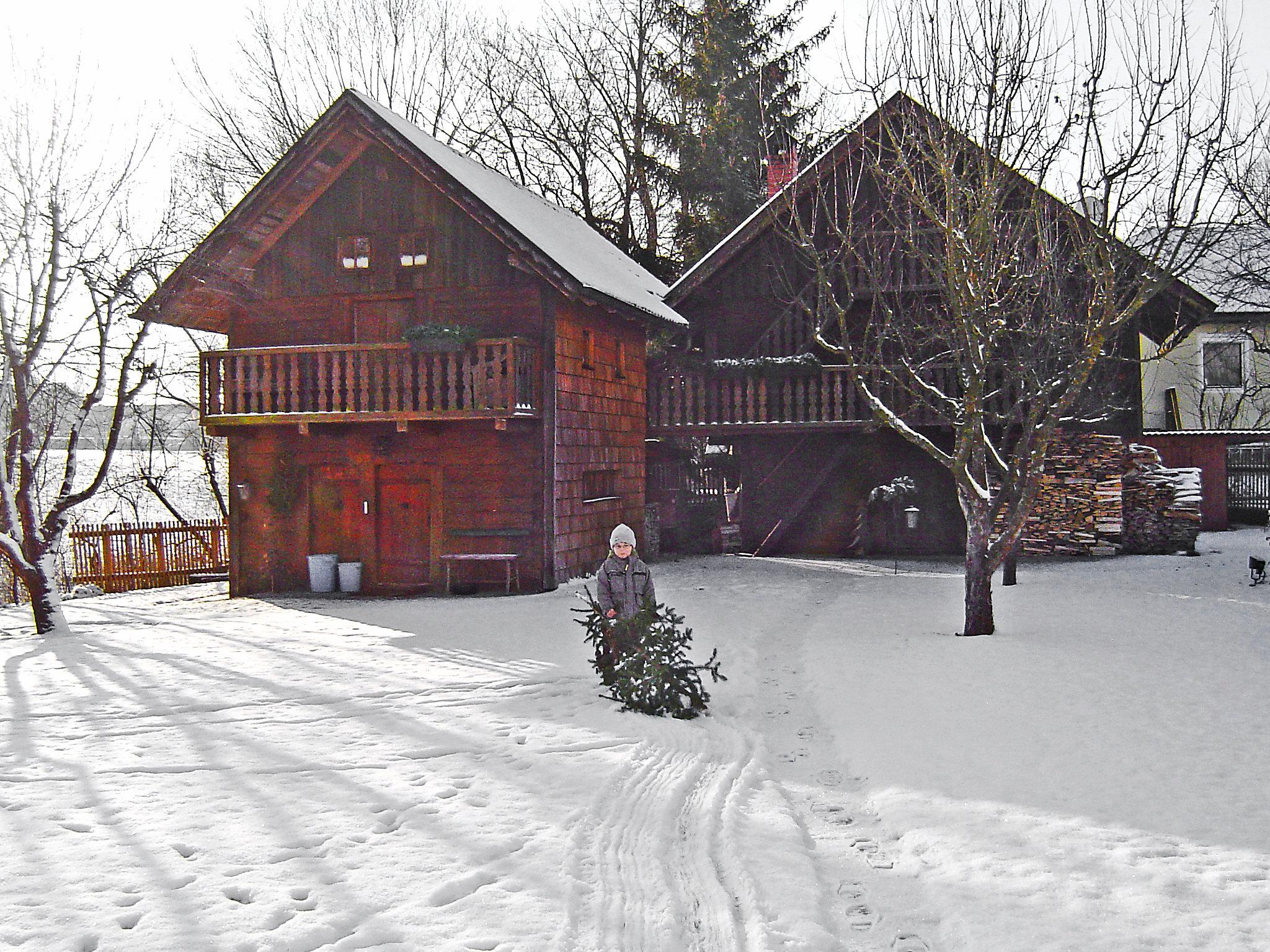 Foto 25 - Haus mit 3 Schlafzimmern in Neuhofen im Innkreis mit garten