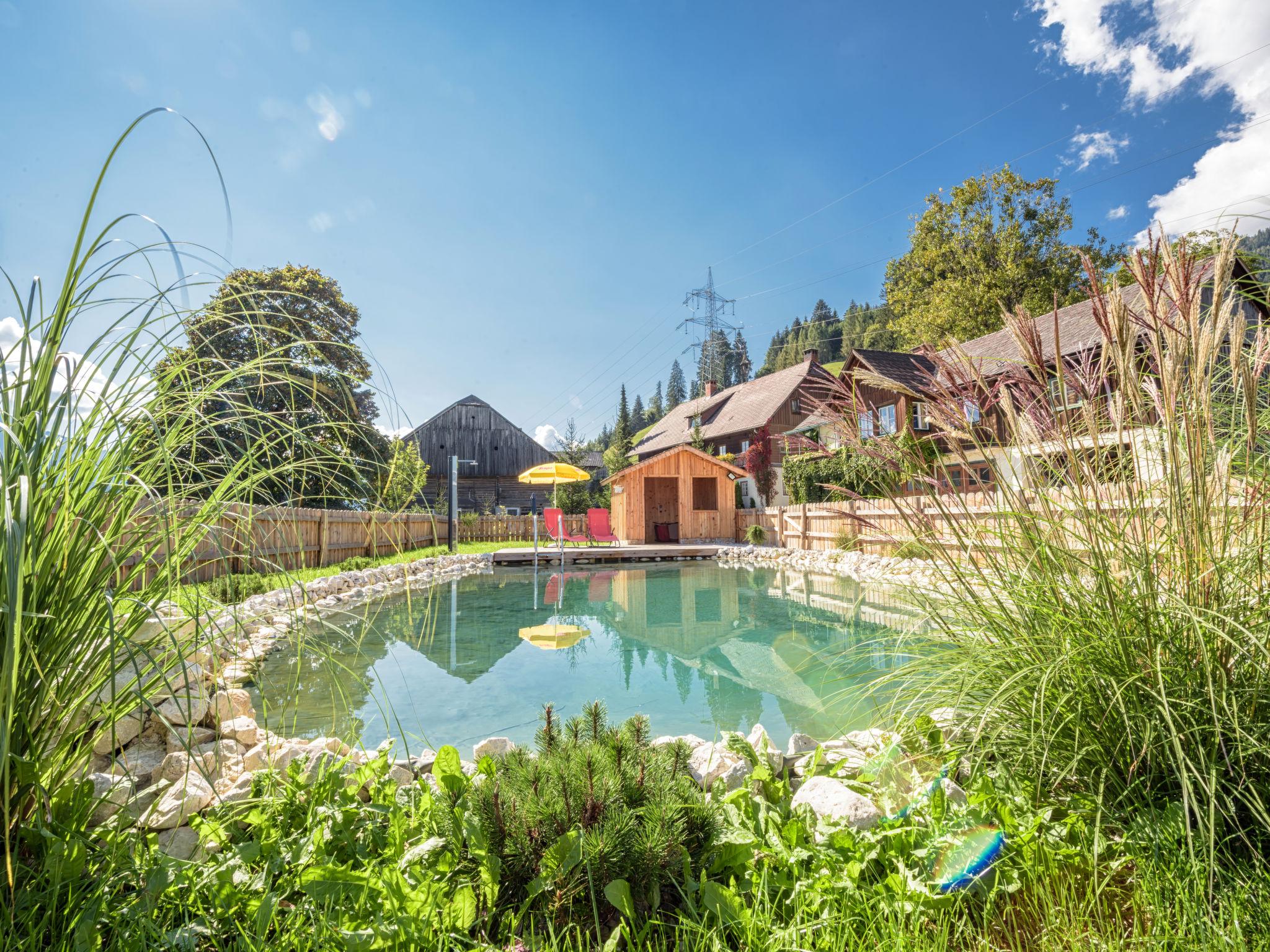 Photo 34 - Maison de 4 chambres à Mitterberg-Sankt Martin avec piscine et jardin