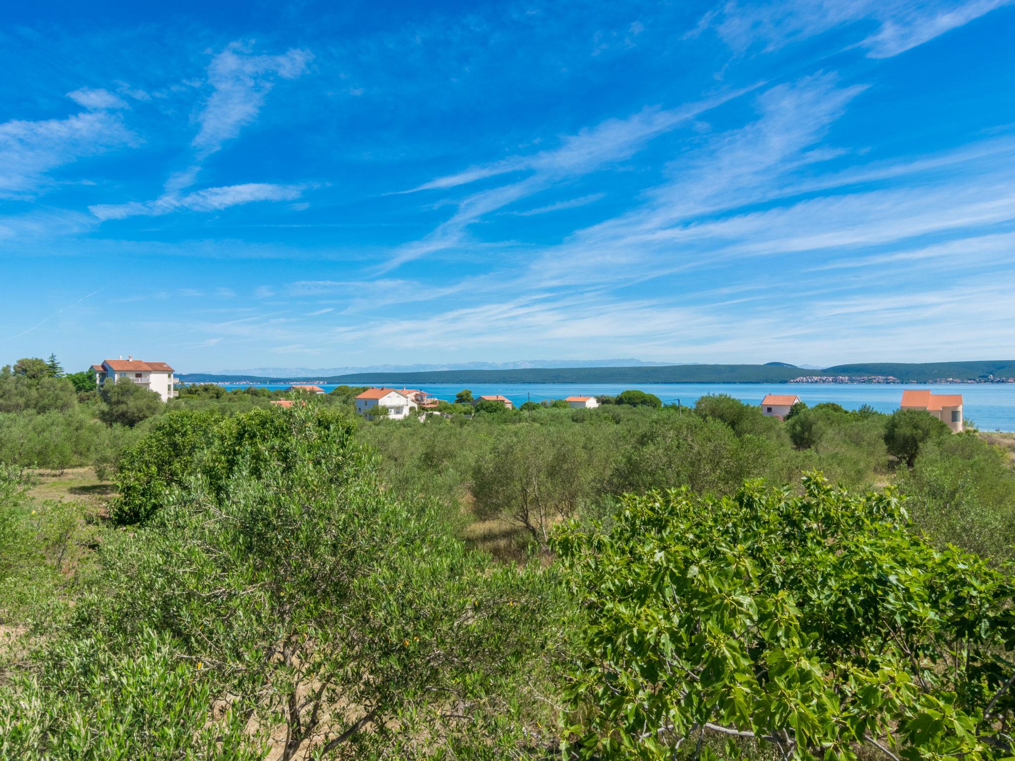 Foto 21 - Casa de 4 habitaciones en Pašman con jardín y vistas al mar
