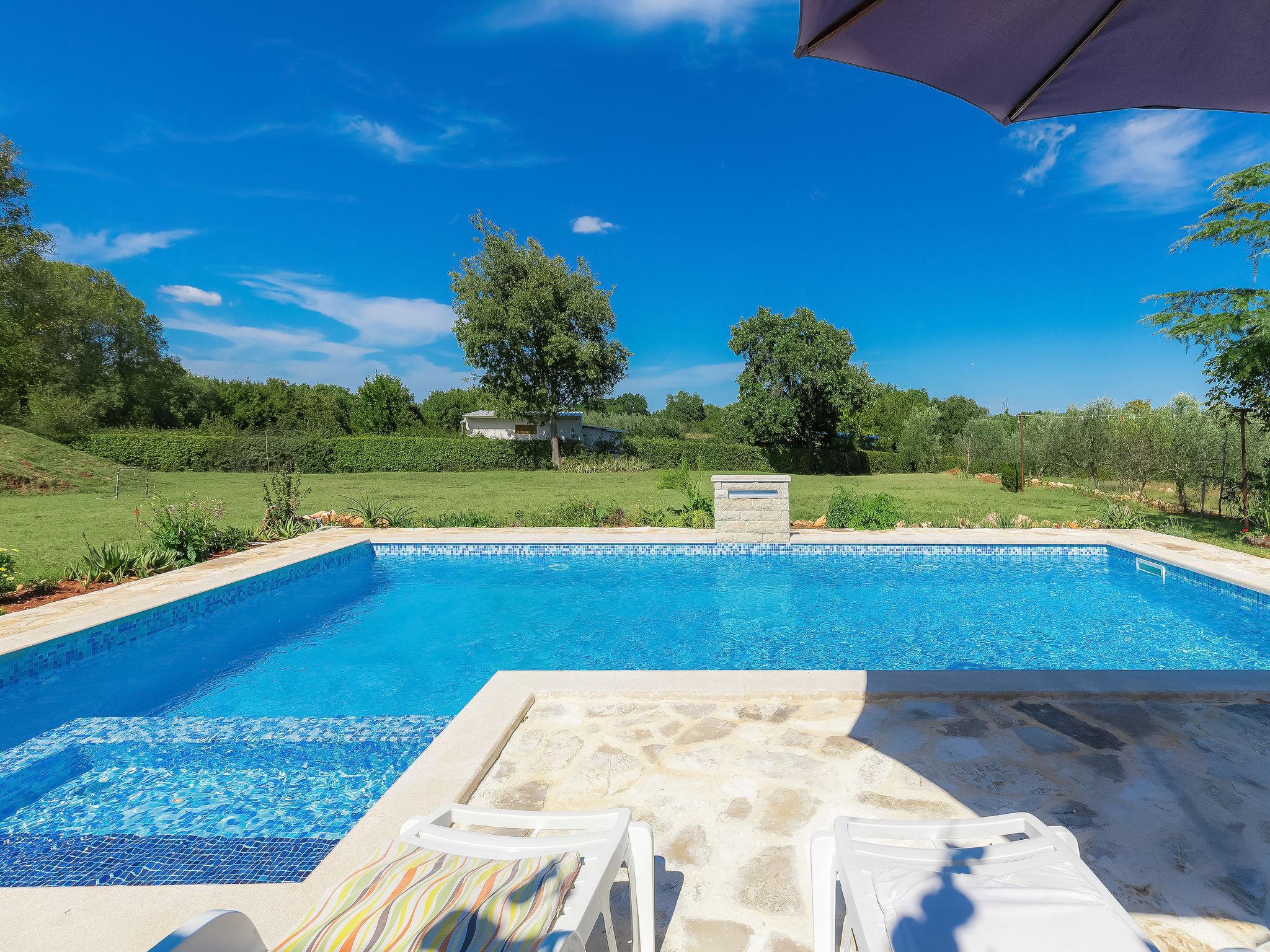 Photo 36 - Maison de 5 chambres à Ližnjan avec piscine privée et vues à la mer