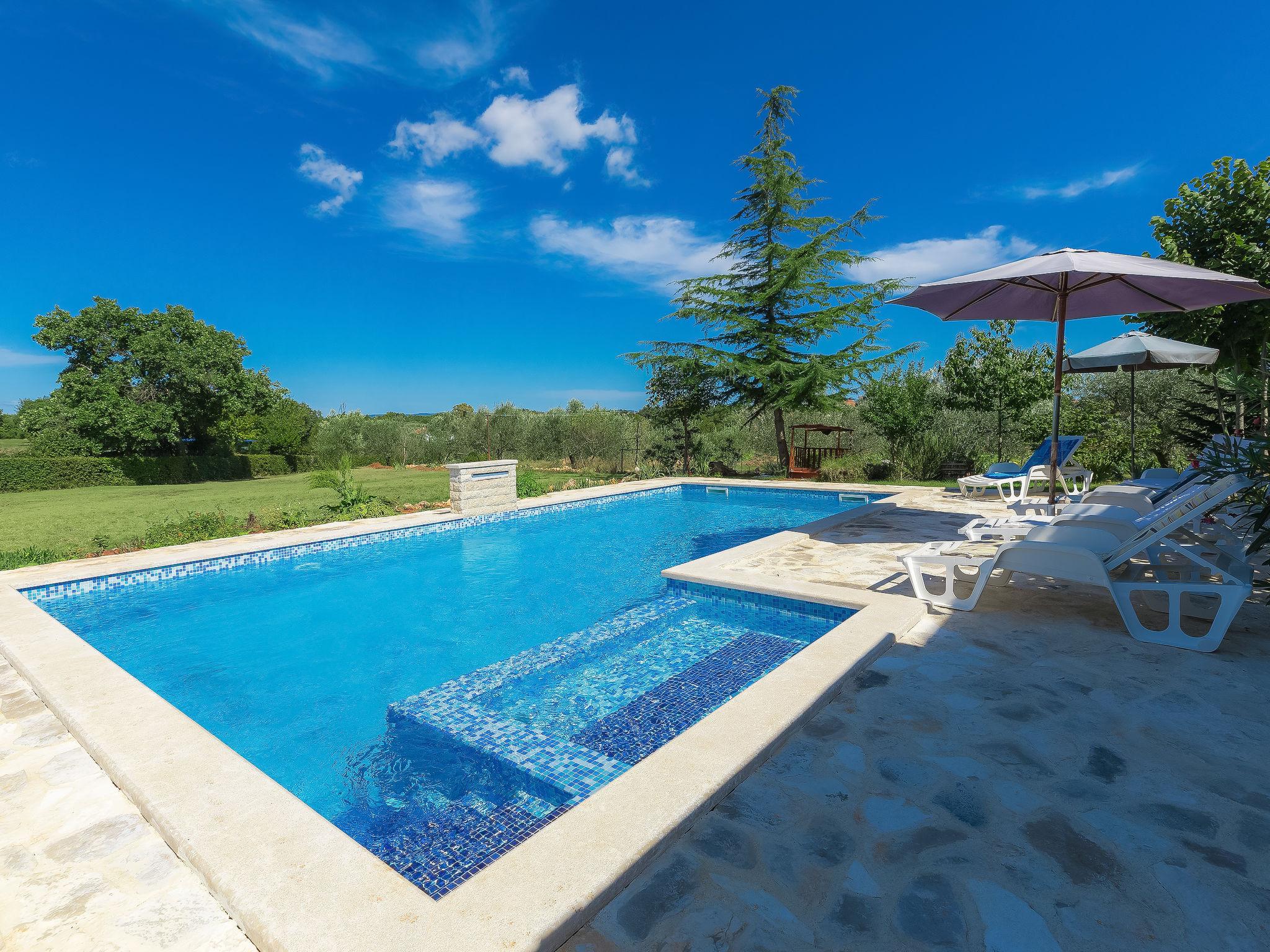 Photo 37 - 5 bedroom House in Ližnjan with private pool and sea view