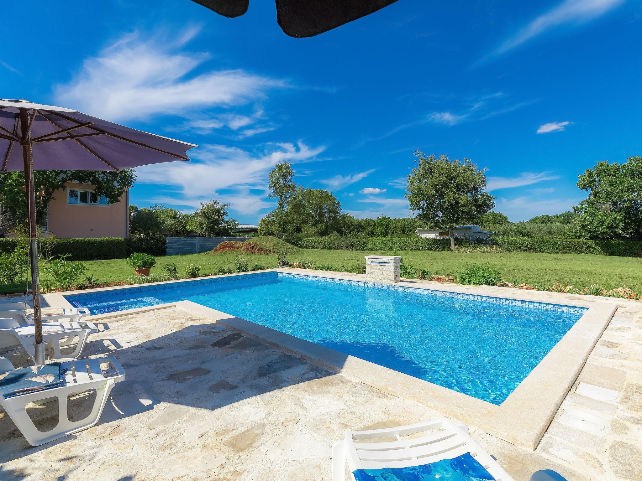 Foto 1 - Casa con 5 camere da letto a Ližnjan con piscina privata e vista mare