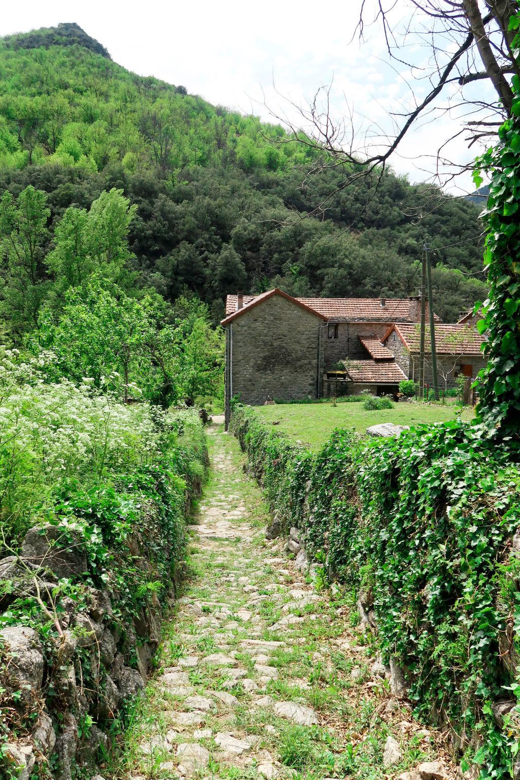 Photo 22 - House in Sainte-Marguerite-Lafigère with terrace