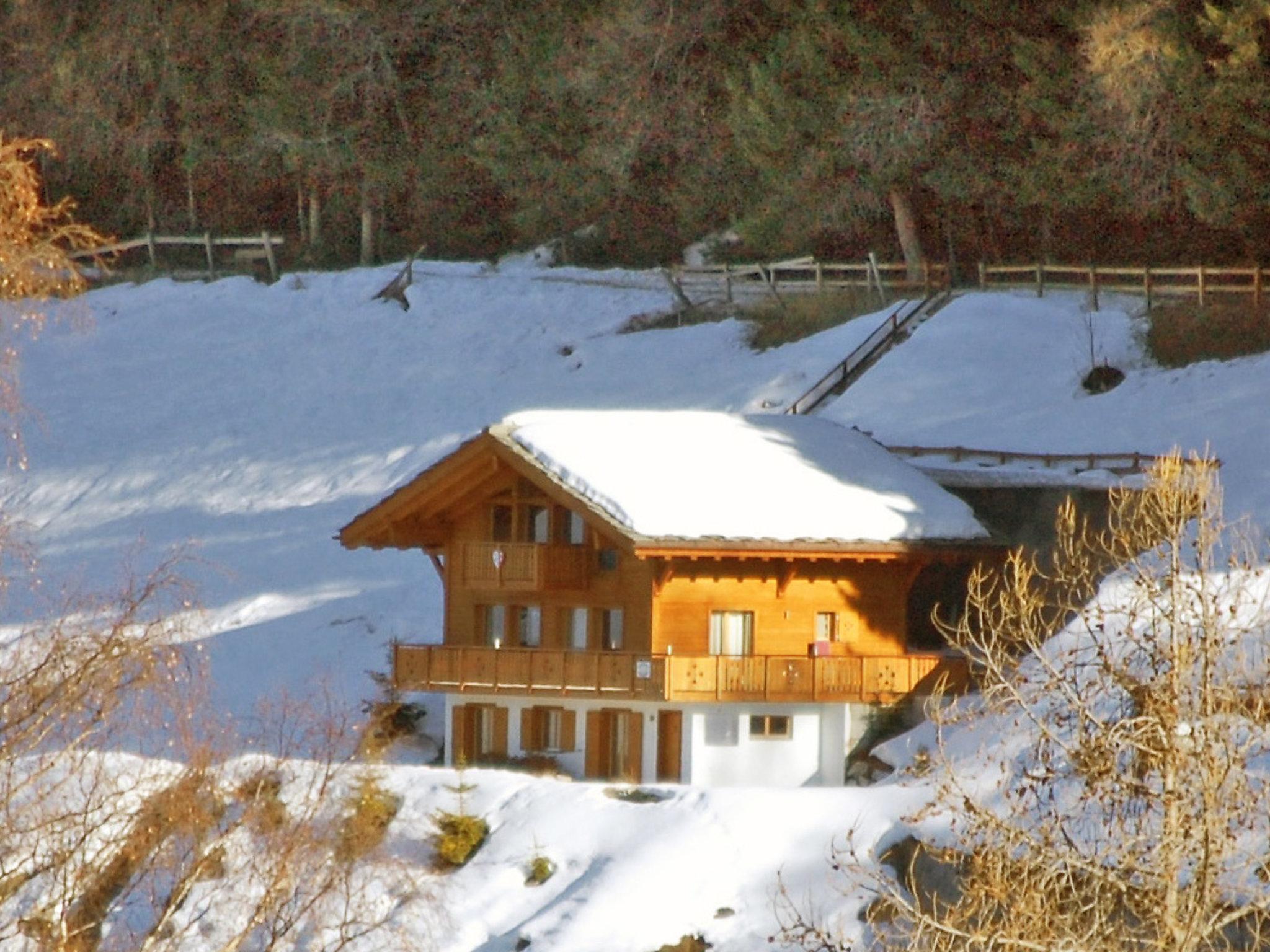 Foto 47 - Casa de 4 habitaciones en Nendaz con jardín y vistas a la montaña
