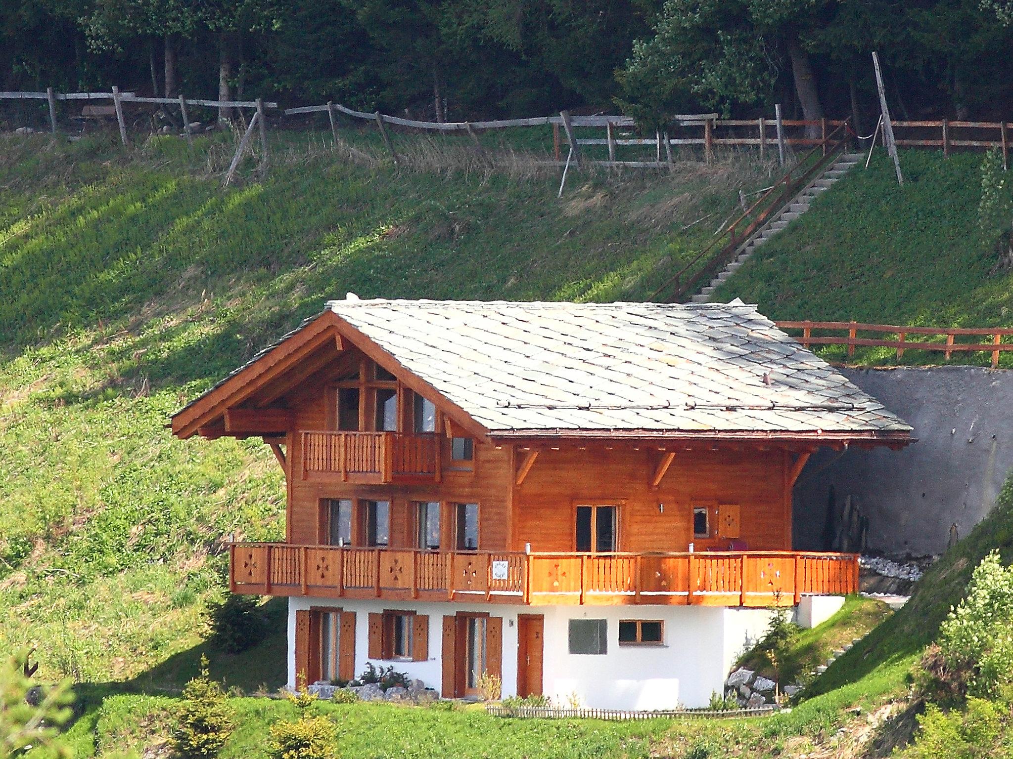 Foto 45 - Casa de 4 habitaciones en Nendaz con jardín y vistas a la montaña