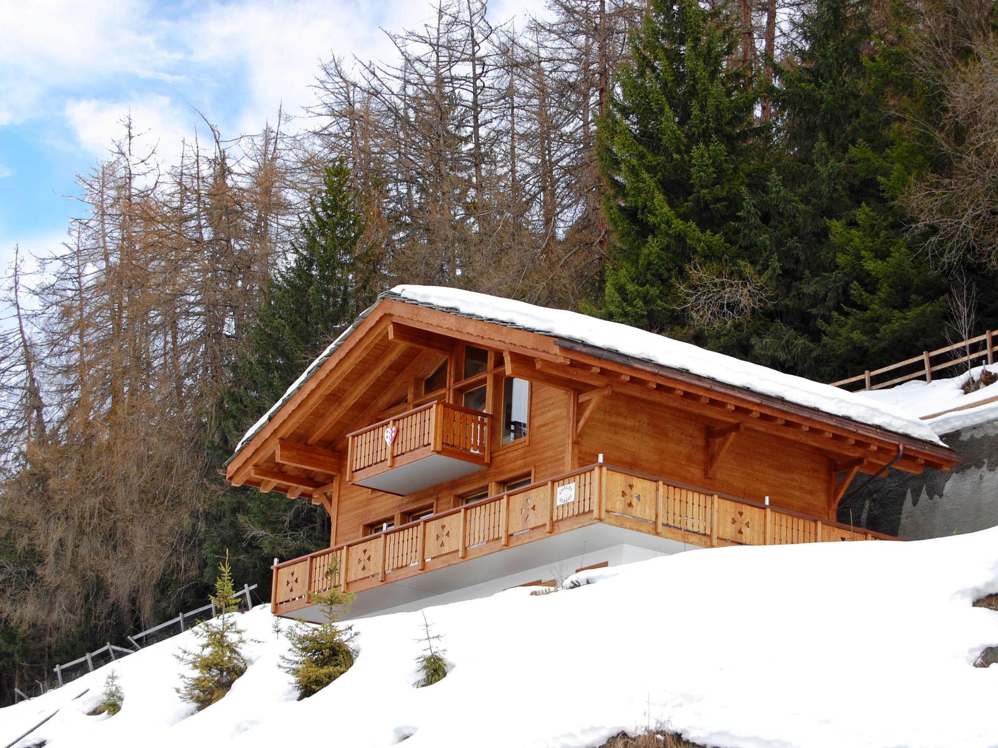 Foto 48 - Casa de 4 habitaciones en Nendaz con jardín y vistas a la montaña