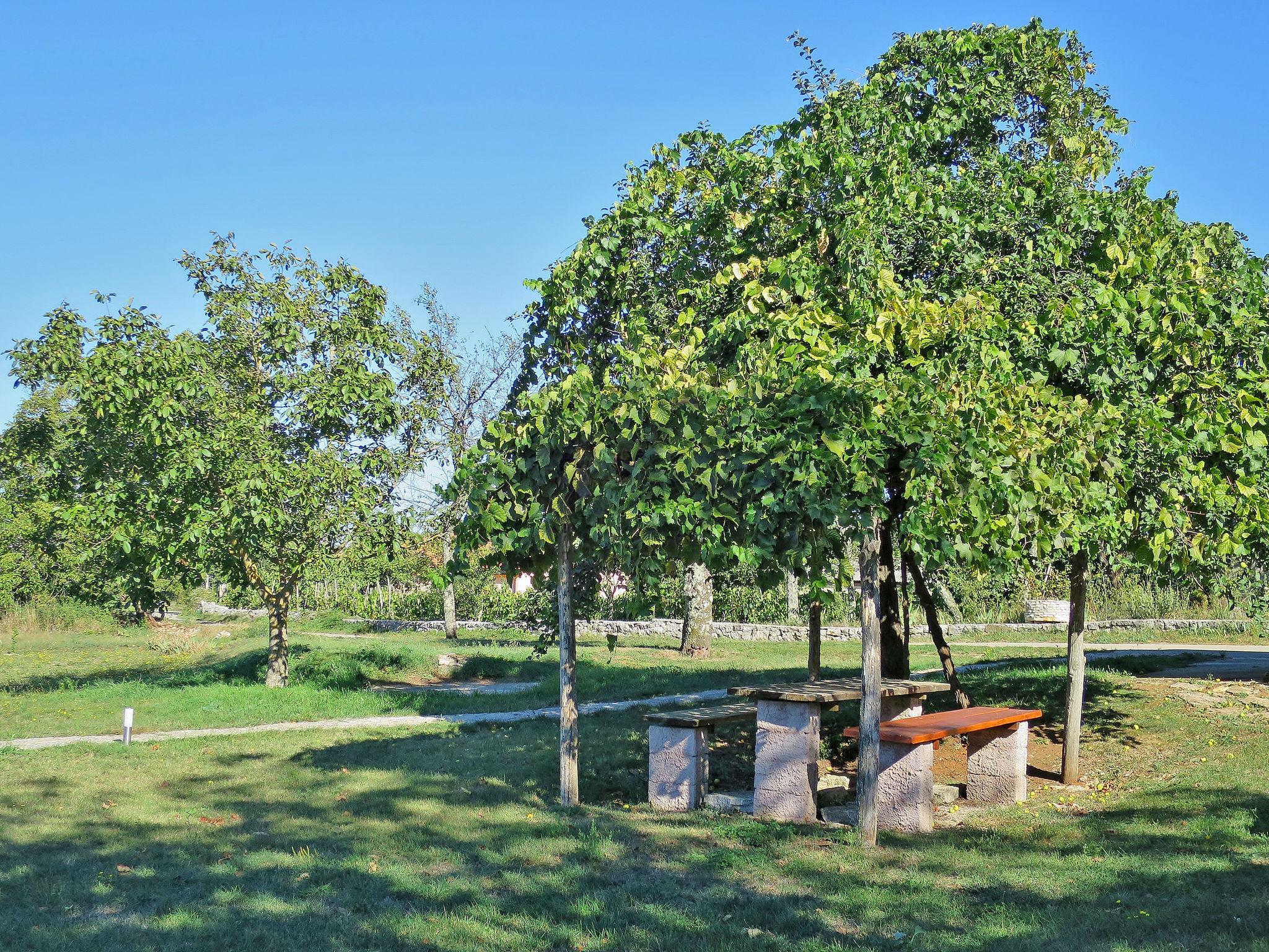 Photo 7 - Maison de 4 chambres à Žminj avec piscine privée et jardin