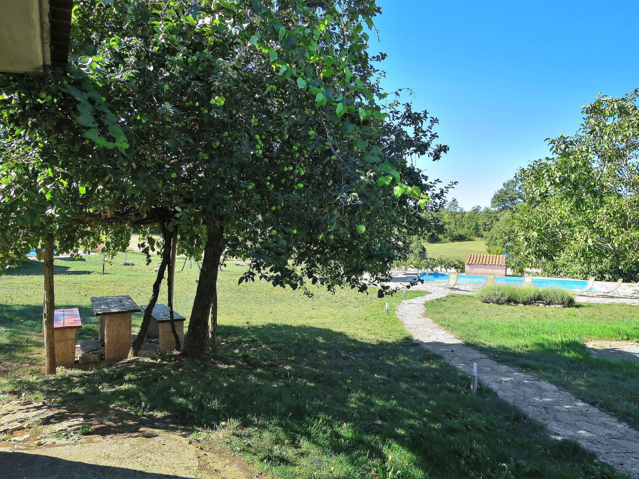 Foto 5 - Casa con 4 camere da letto a Žminj con piscina privata e vista mare