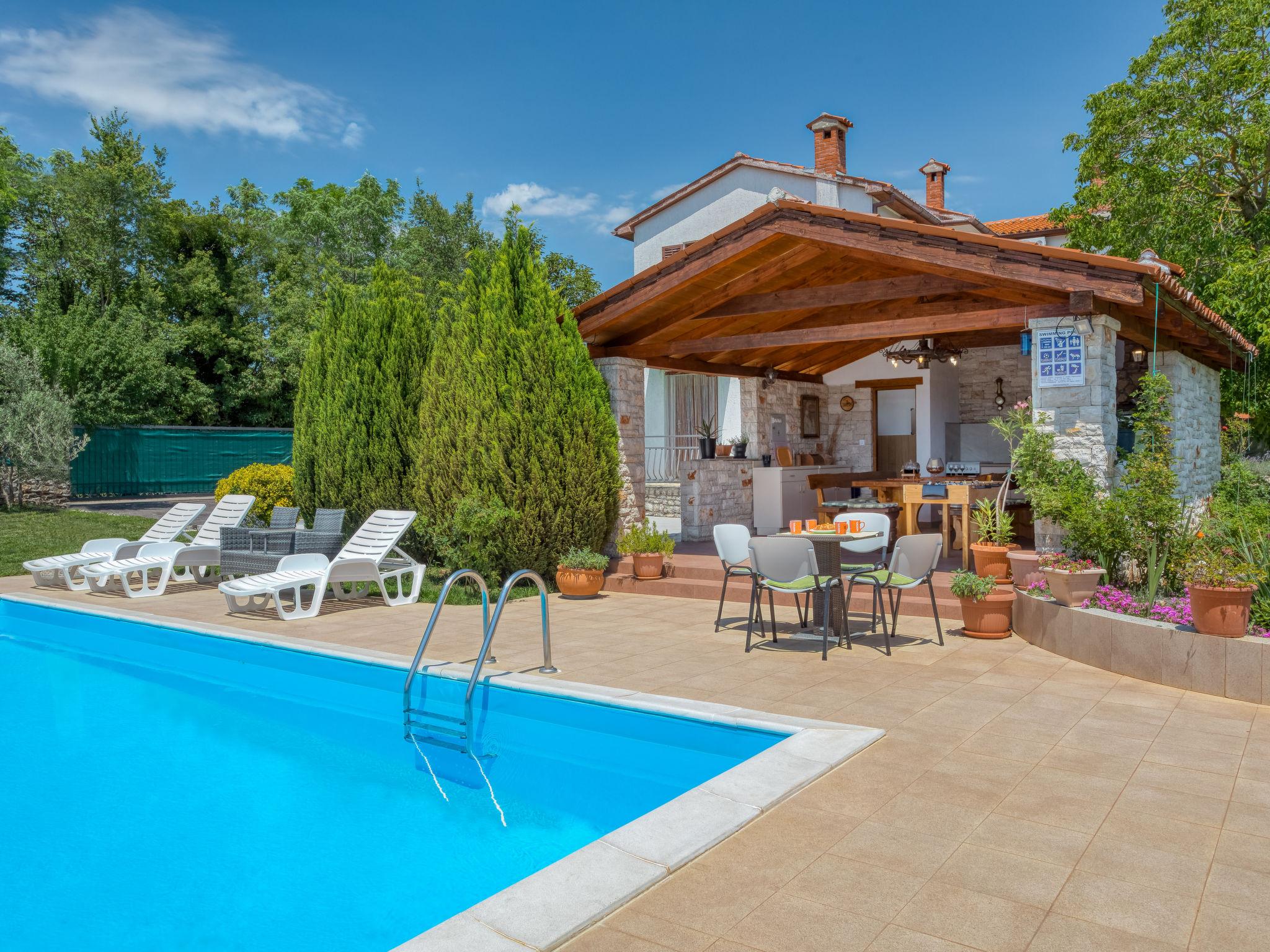 Foto 1 - Casa con 6 camere da letto a Sveta Nedelja con piscina privata e vista mare