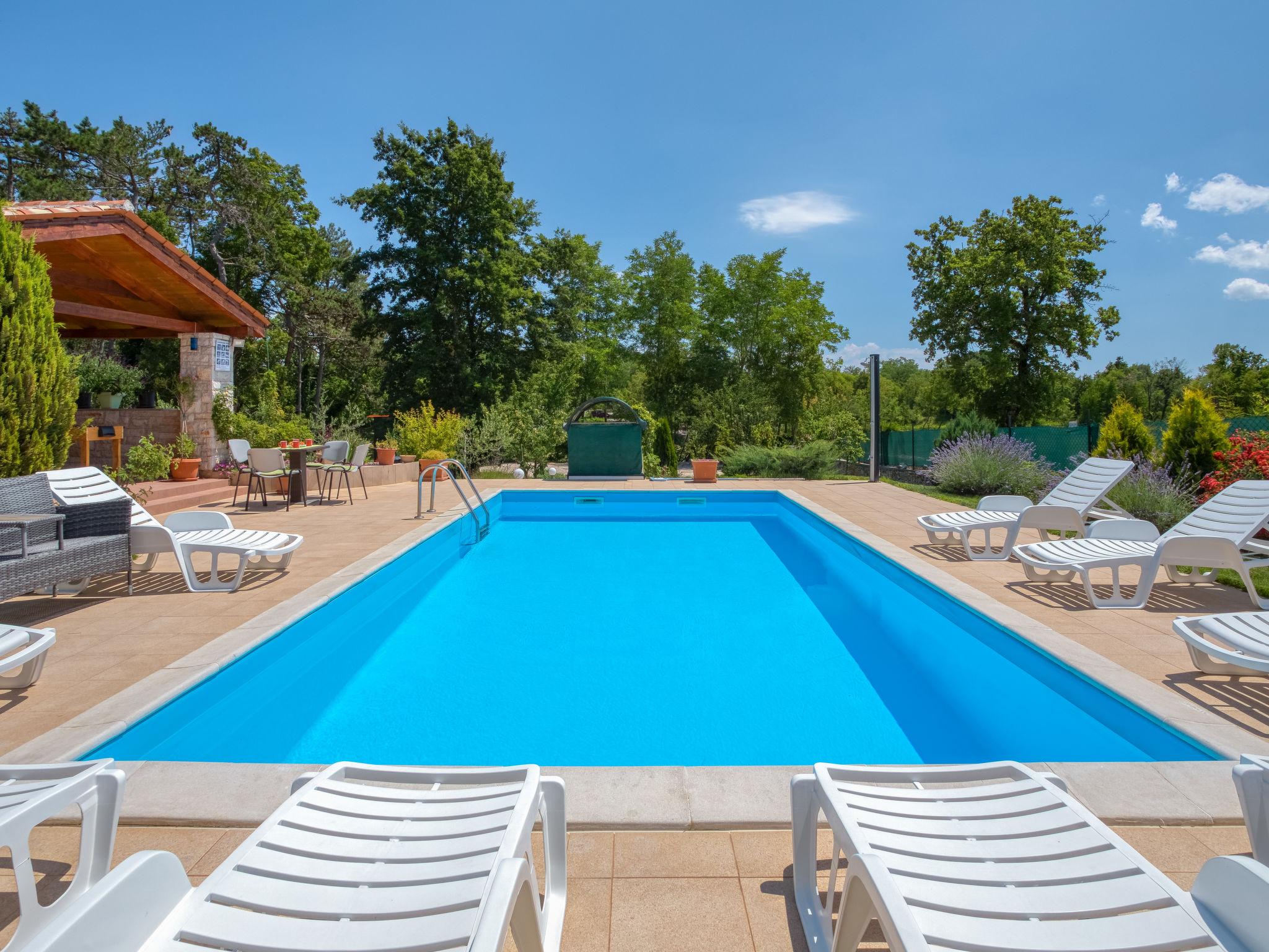 Photo 20 - Maison de 6 chambres à Sveta Nedelja avec piscine privée et jardin