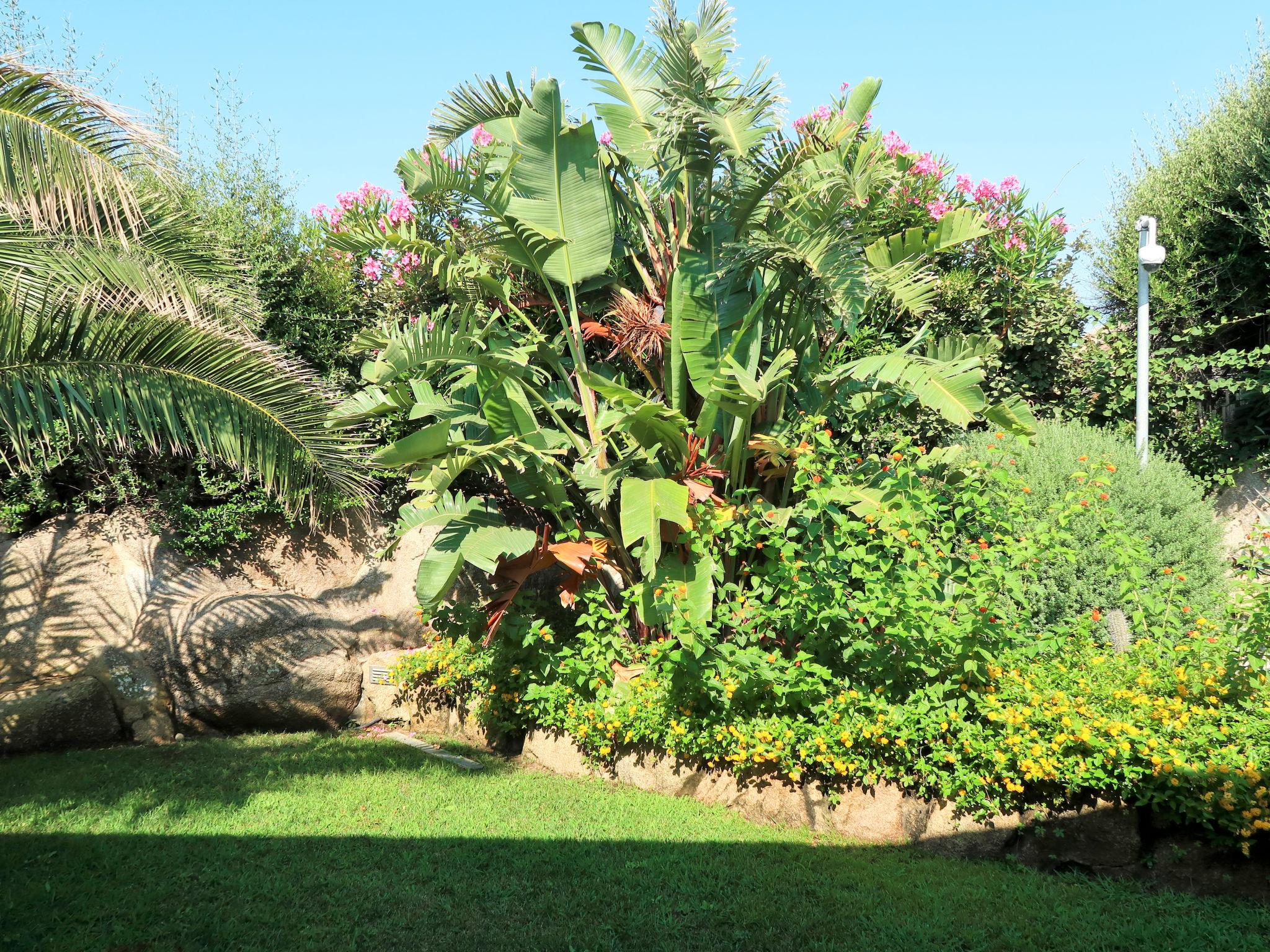 Photo 36 - Maison de 3 chambres à Santa Teresa Gallura avec piscine privée et jardin