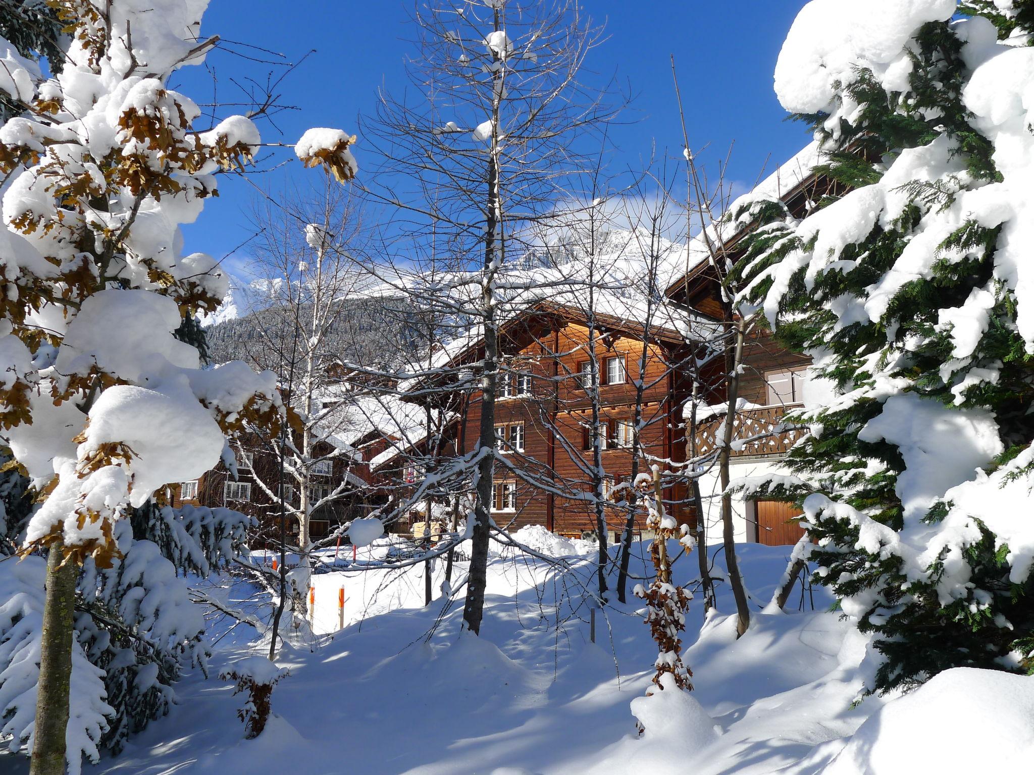 Photo 27 - Appartement de 3 chambres à Tujetsch avec vues sur la montagne