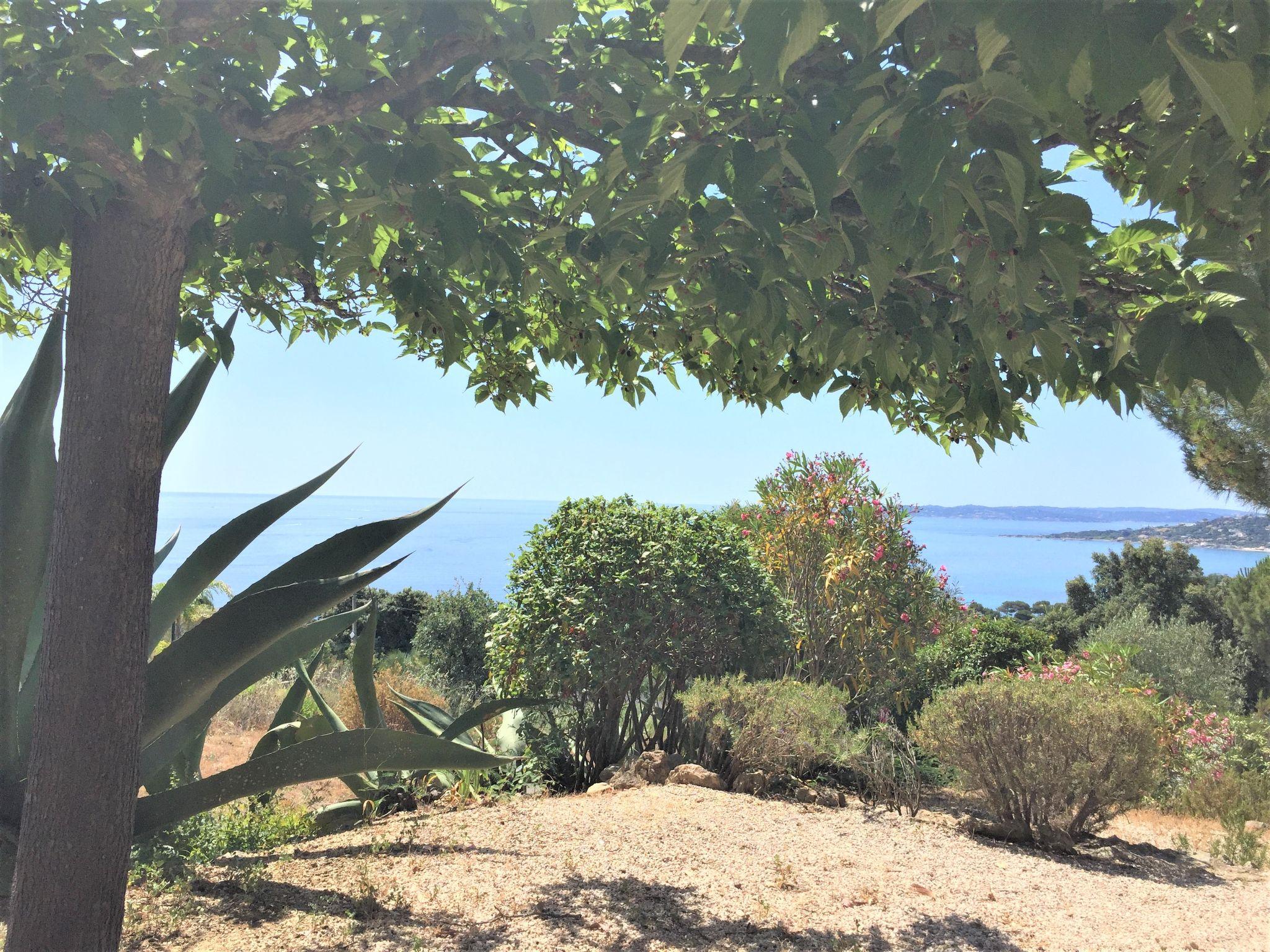 Foto 19 - Casa de 3 quartos em Sainte-Maxime com jardim e terraço