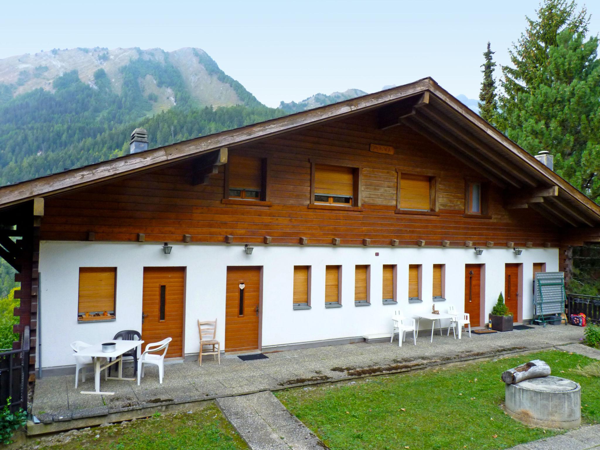 Photo 23 - Appartement de 1 chambre à Leytron avec terrasse et vues sur la montagne