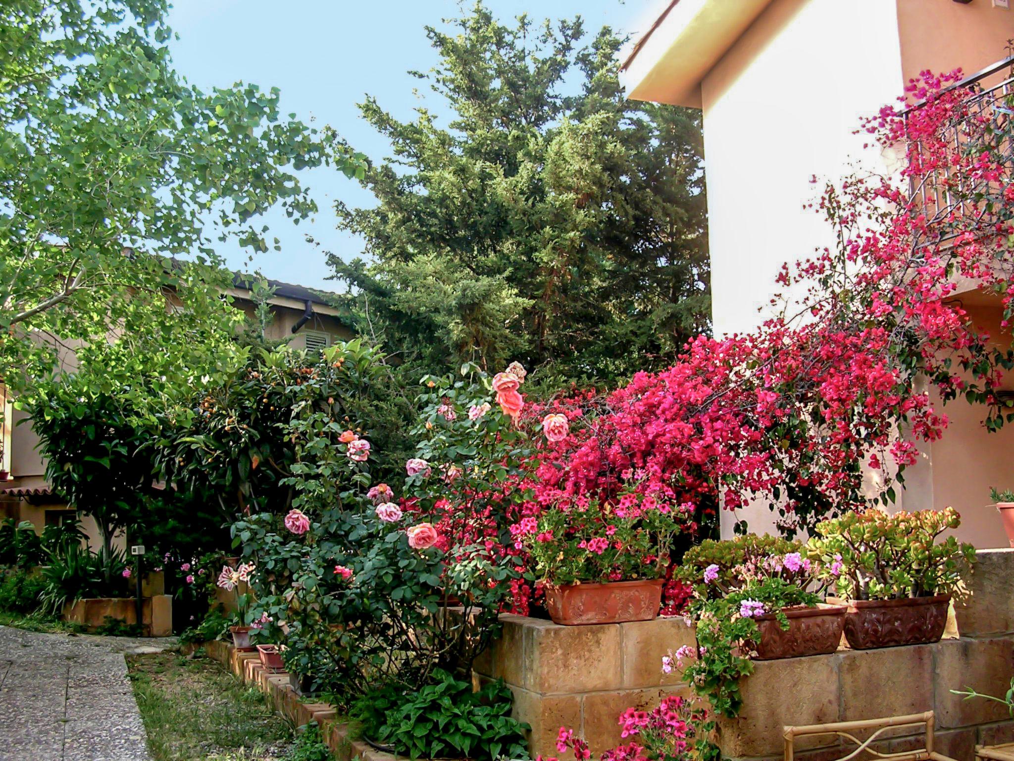 Photo 23 - Appartement de 2 chambres à Santa Flavia avec jardin et terrasse