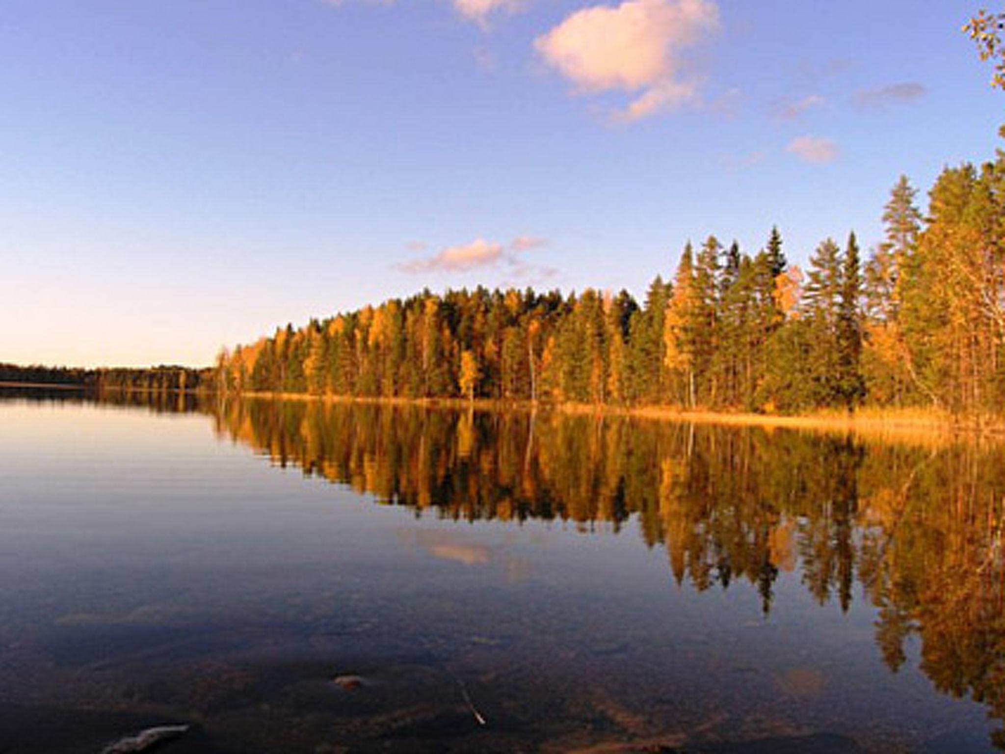 Foto 4 - Casa de 3 quartos em Hankasalmi com sauna