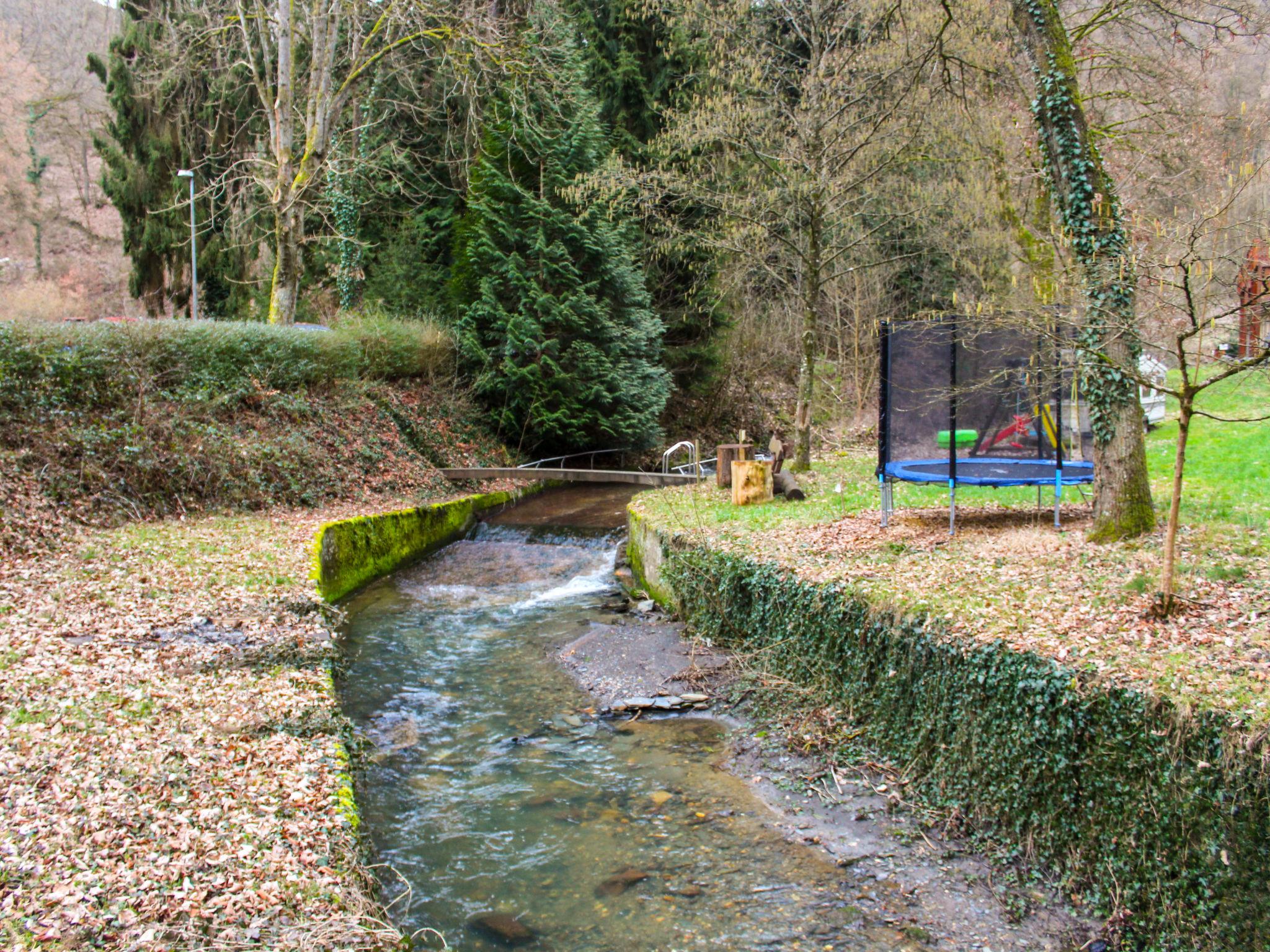 Photo 27 - 1 bedroom Apartment in Traben-Trarbach with garden and terrace