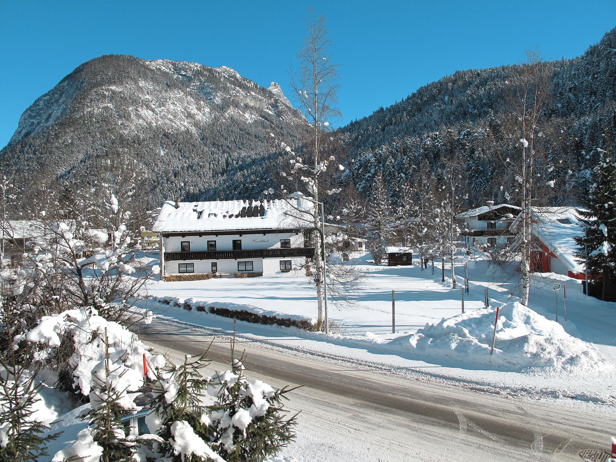 Photo 24 - Appartement de 2 chambres à Leutasch avec terrasse et vues sur la montagne