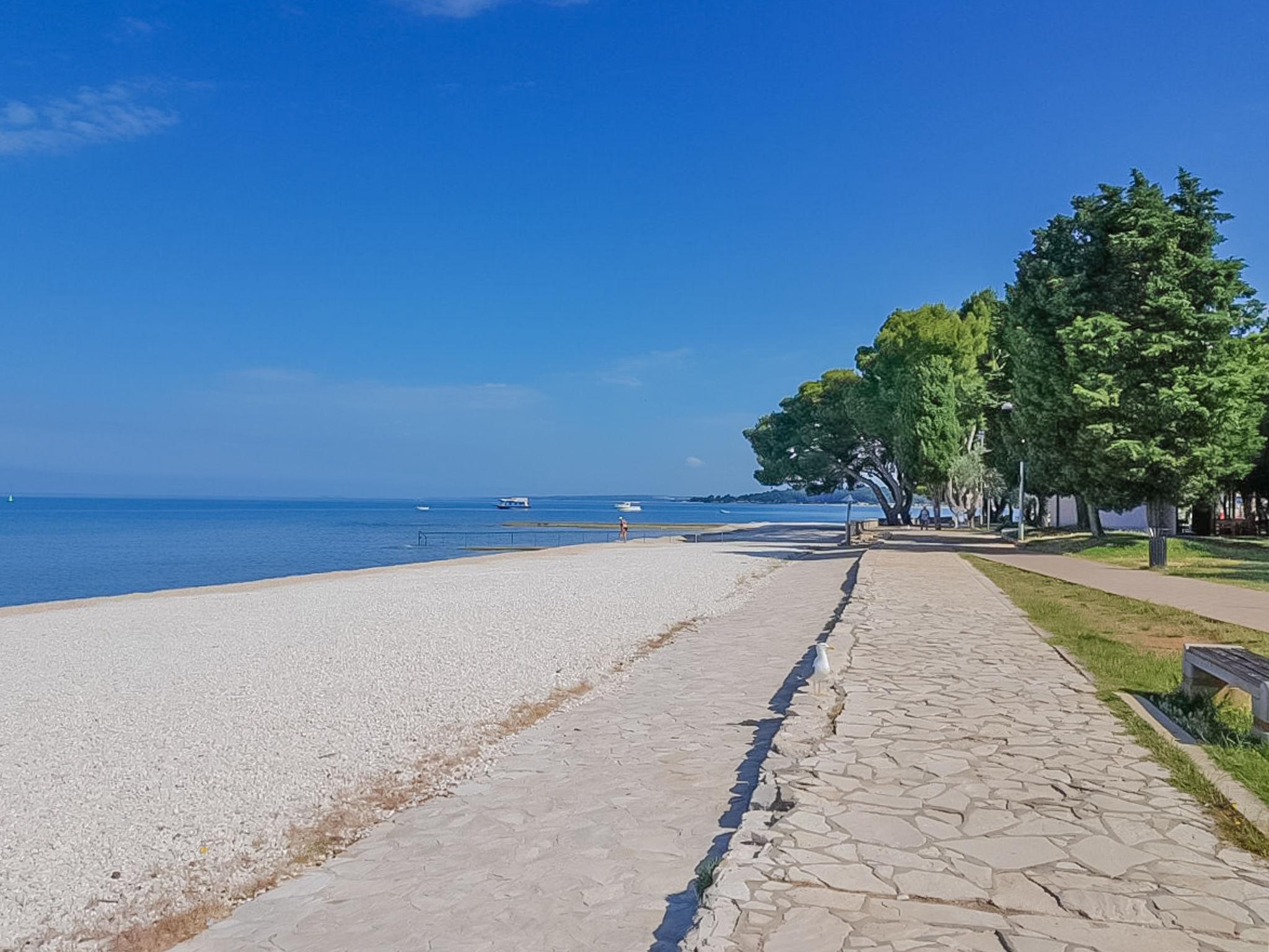 Foto 16 - Appartamento con 3 camere da letto a Fažana con piscina privata e vista mare