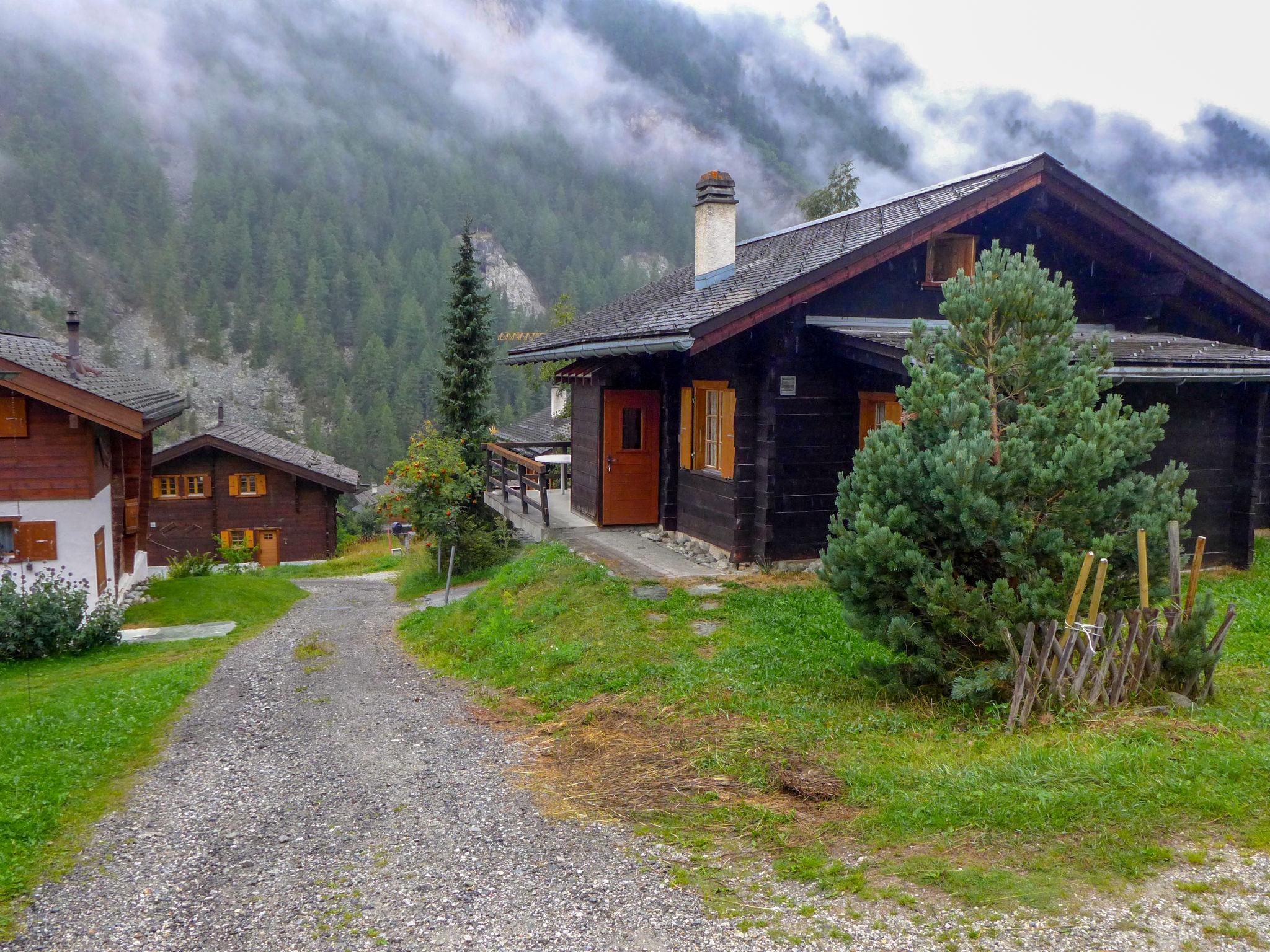 Foto 18 - Appartamento con 2 camere da letto a Anniviers con vista sulle montagne