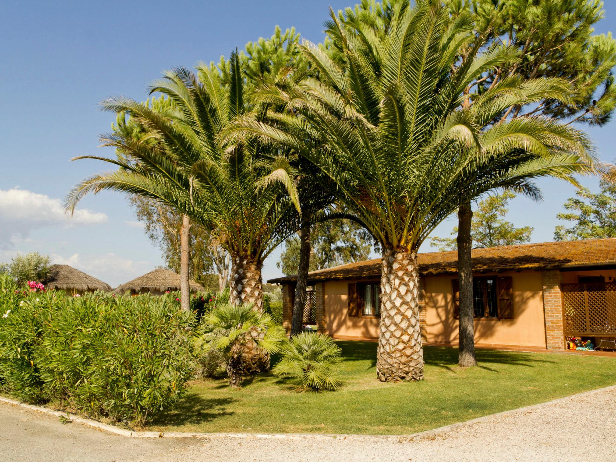 Foto 22 - Haus mit 3 Schlafzimmern in Grosseto mit schwimmbad und blick aufs meer