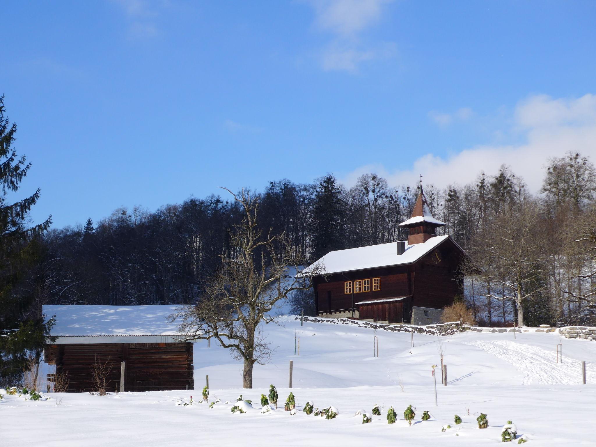 Photo 19 - Appartement de 2 chambres à Brienzwiler avec vues sur la montagne