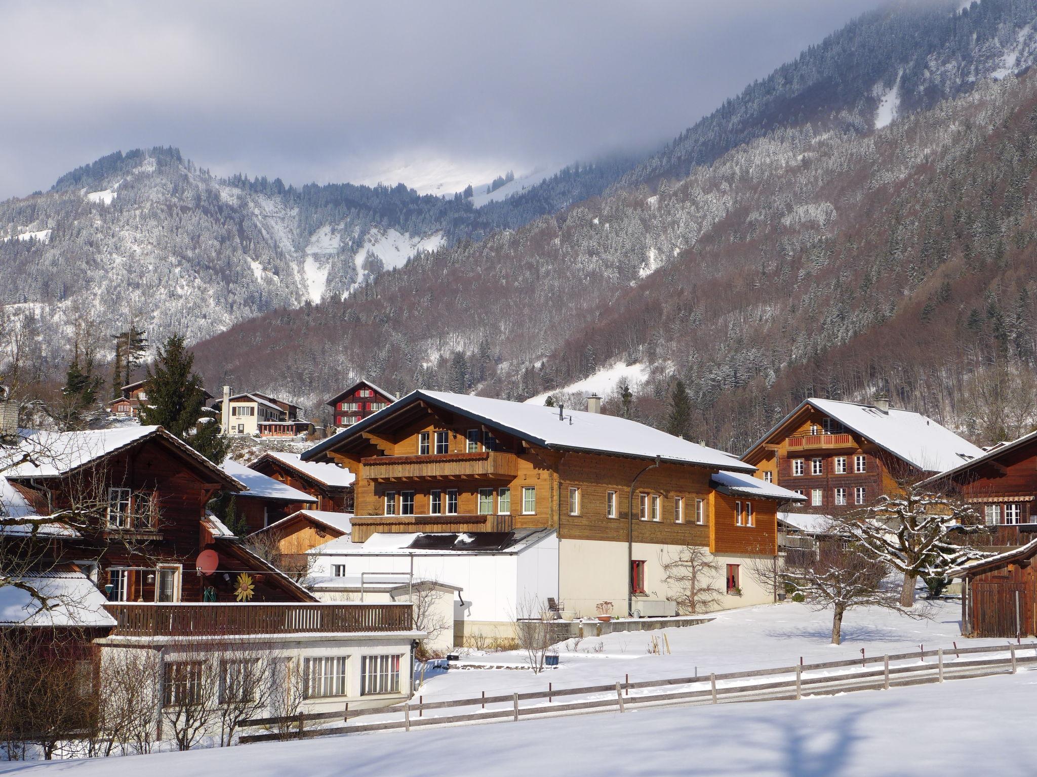 Photo 18 - Appartement de 2 chambres à Brienzwiler avec vues sur la montagne